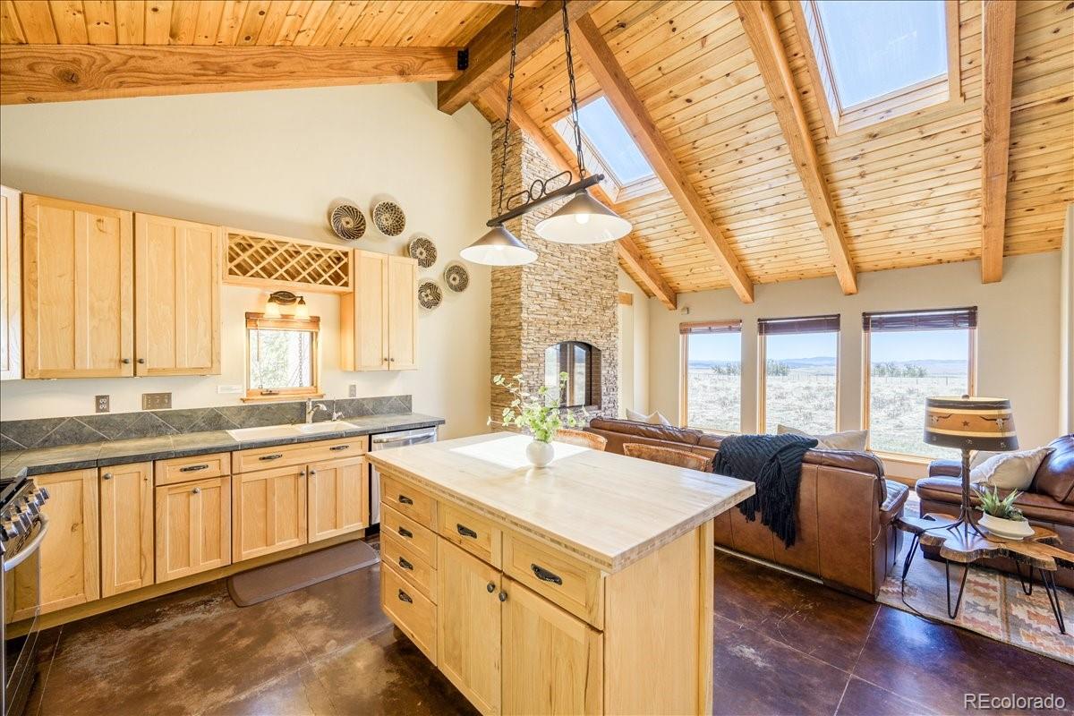 MLS Image #10 for 2567  coil drive,fairplay, Colorado