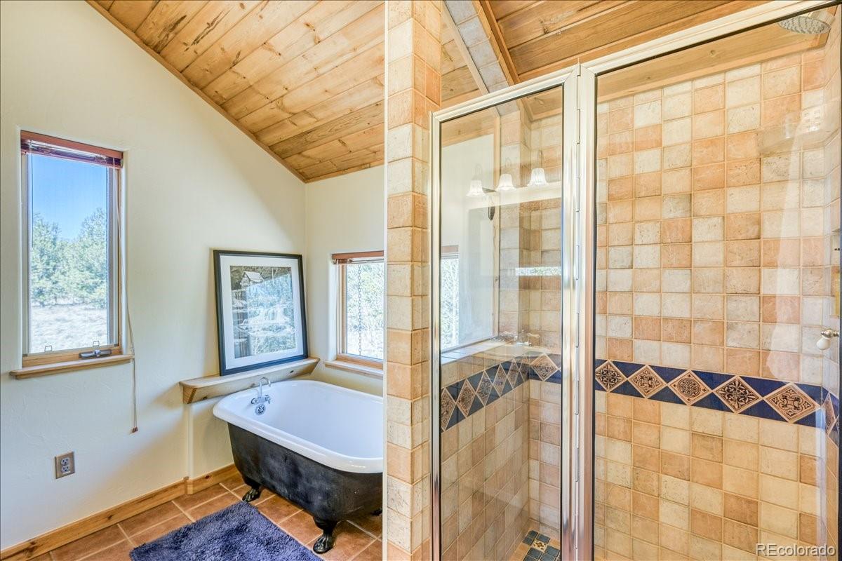 MLS Image #32 for 2567  coil drive,fairplay, Colorado