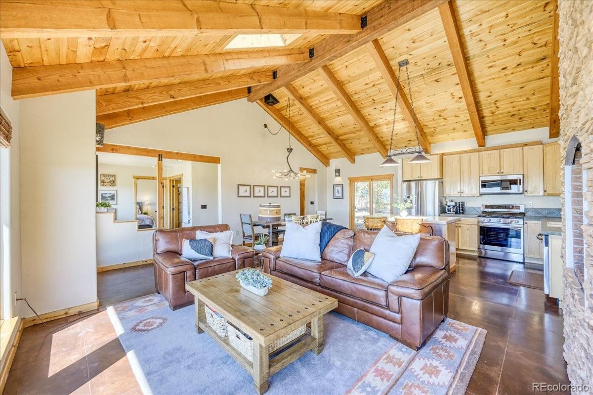 MLS Image #4 for 2567  coil drive,fairplay, Colorado