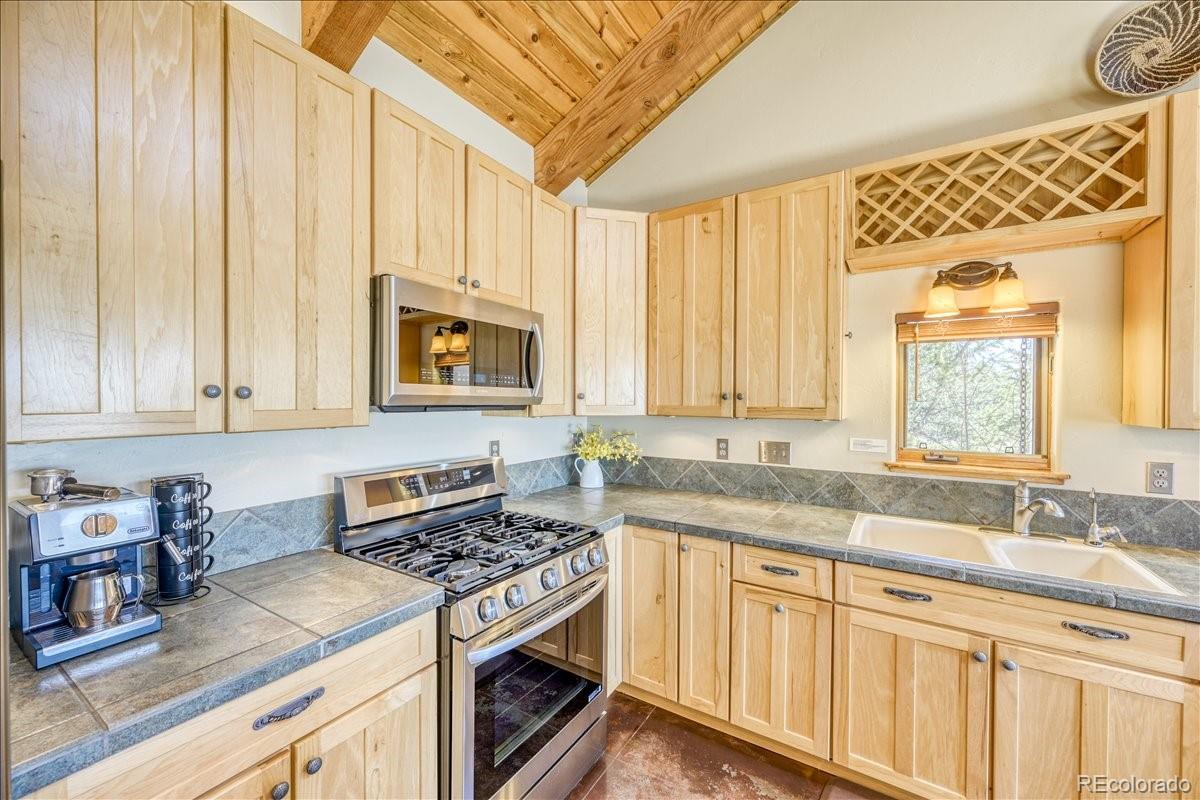 MLS Image #9 for 2567  coil drive,fairplay, Colorado