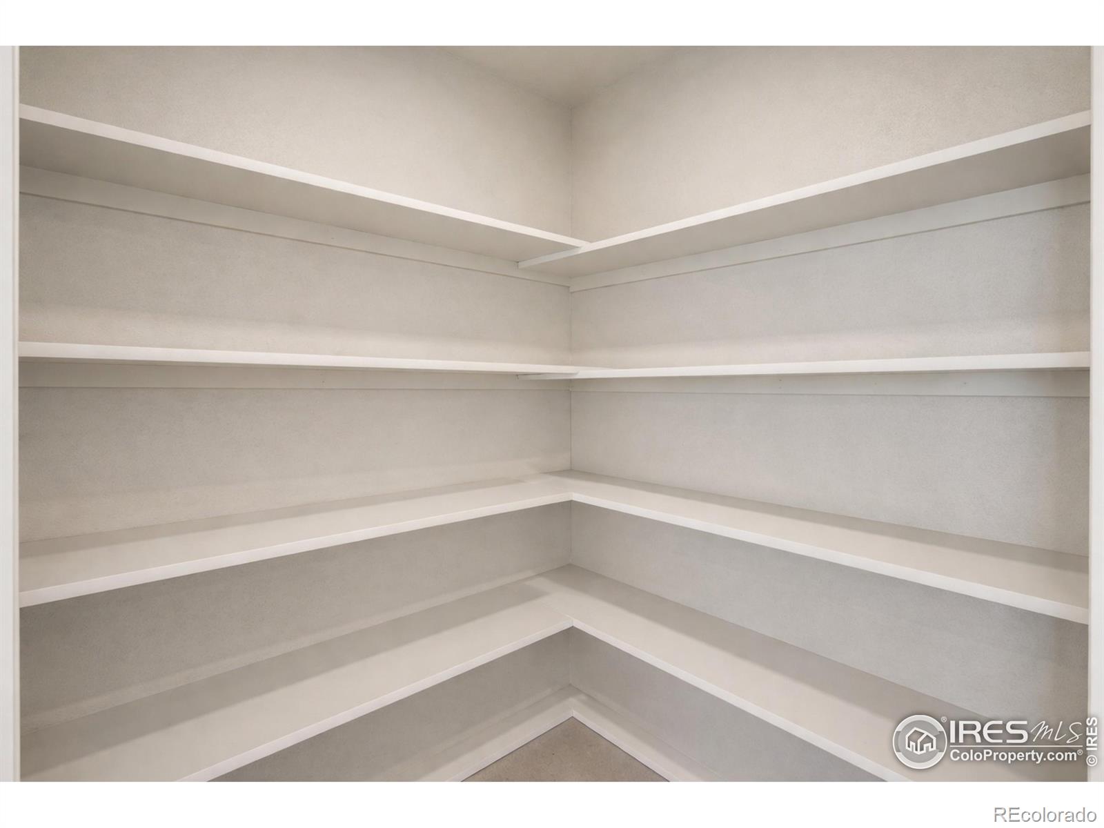 MLS Image #19 for 1572  illingworth drive,windsor, Colorado