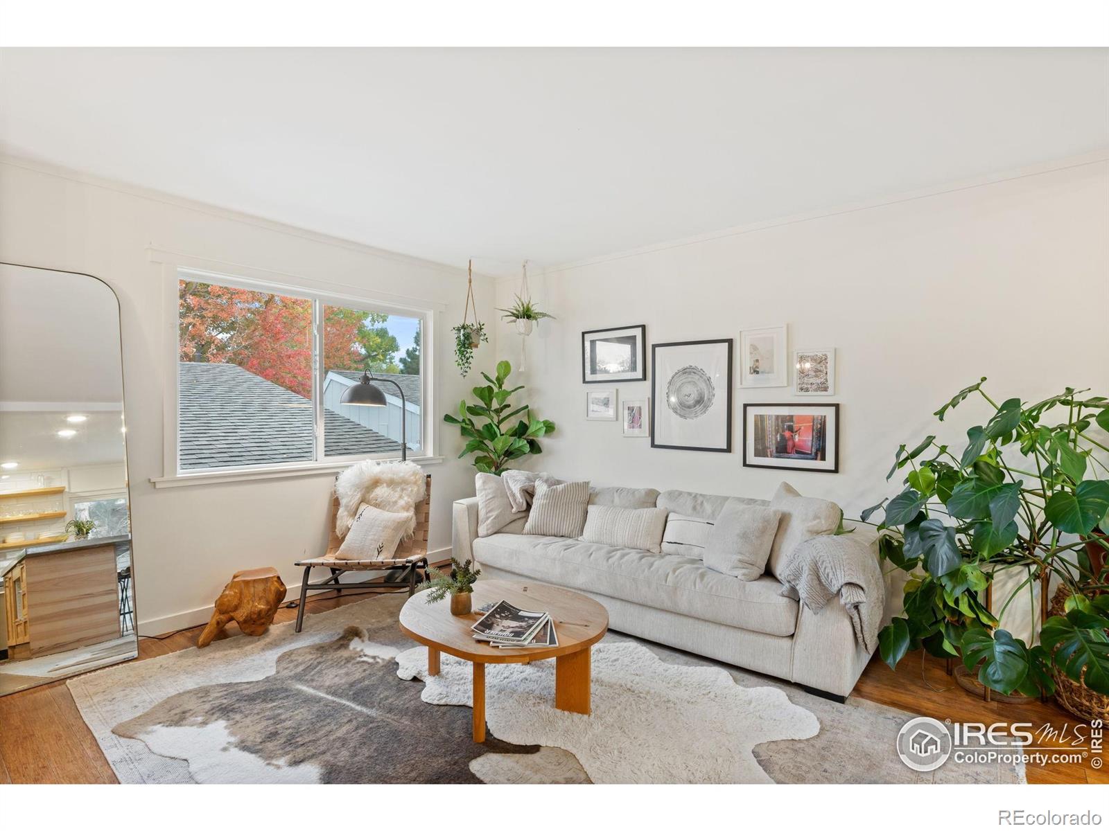 MLS Image #13 for 5411  white place,boulder, Colorado