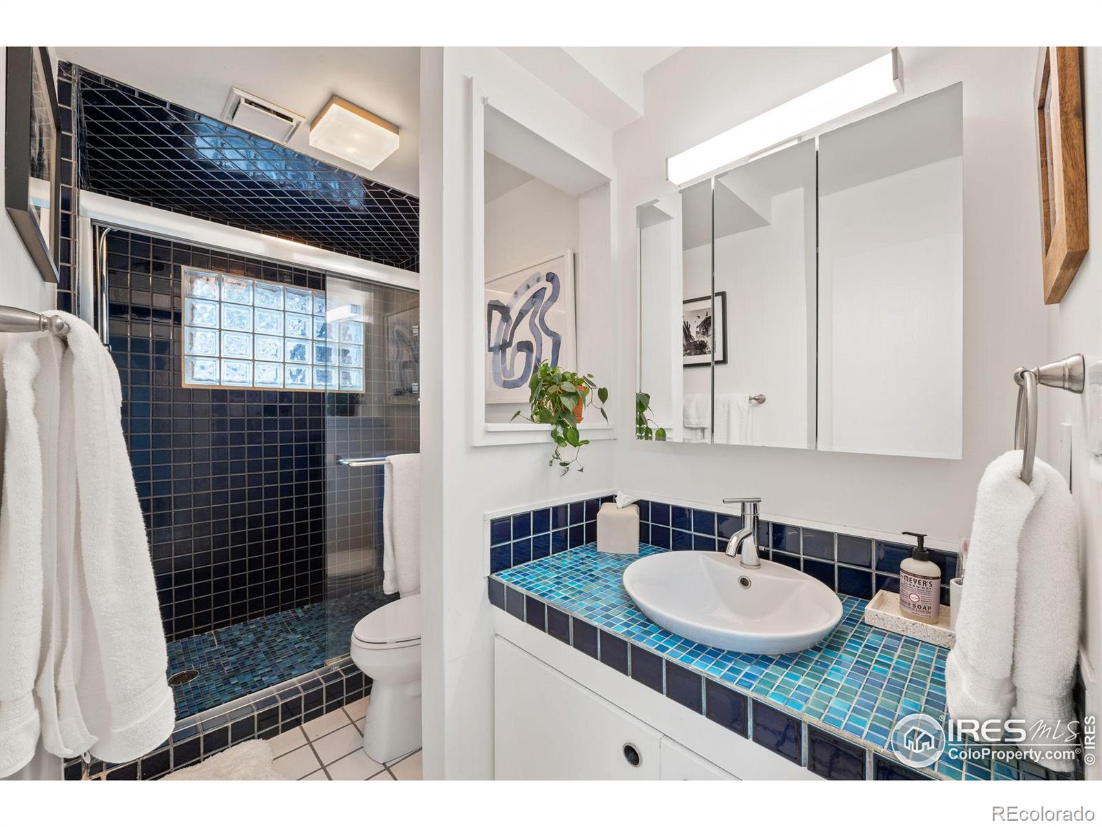 MLS Image #22 for 5411  white place,boulder, Colorado