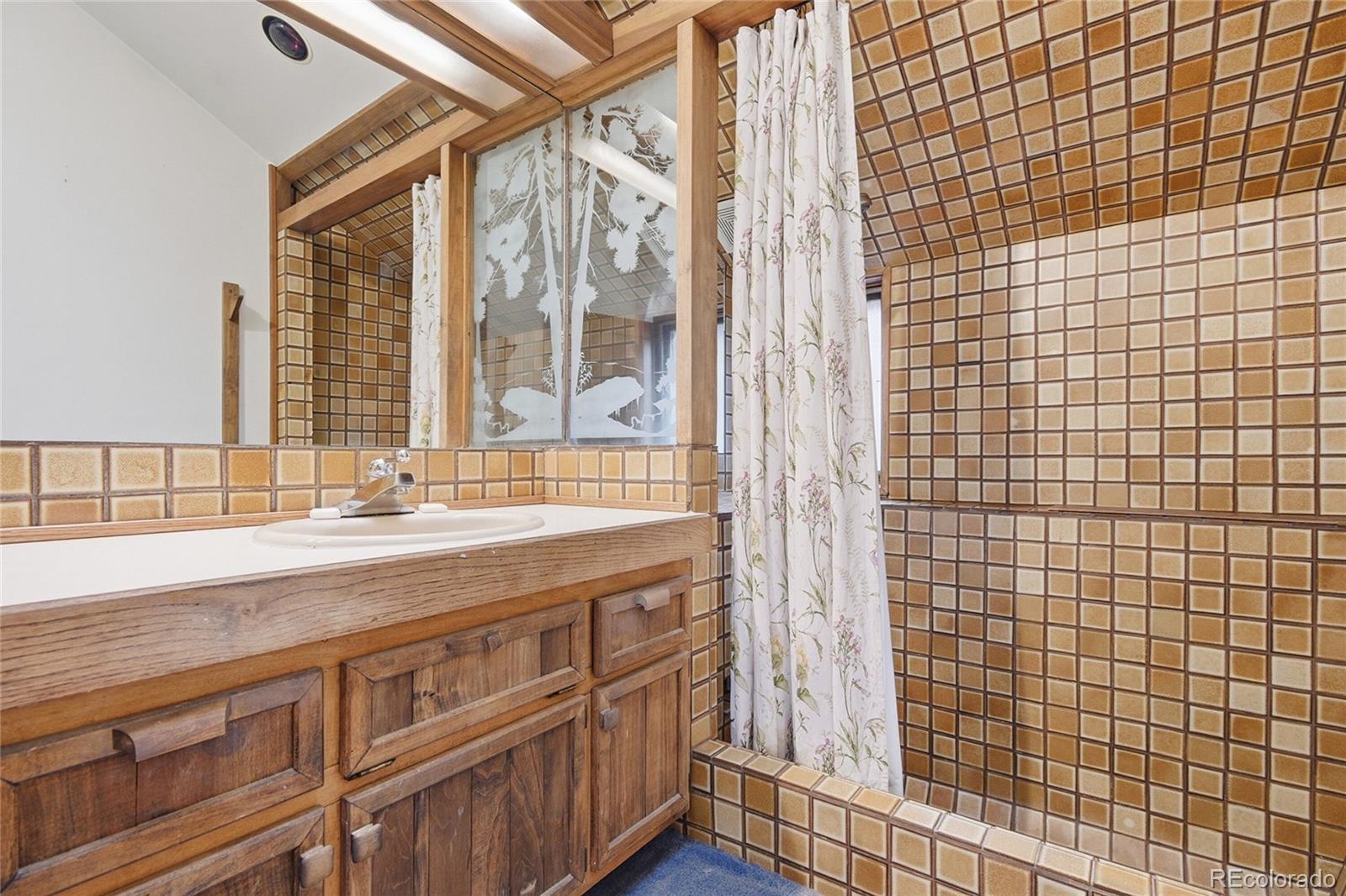 MLS Image #17 for 4812 s cedar road,evergreen, Colorado