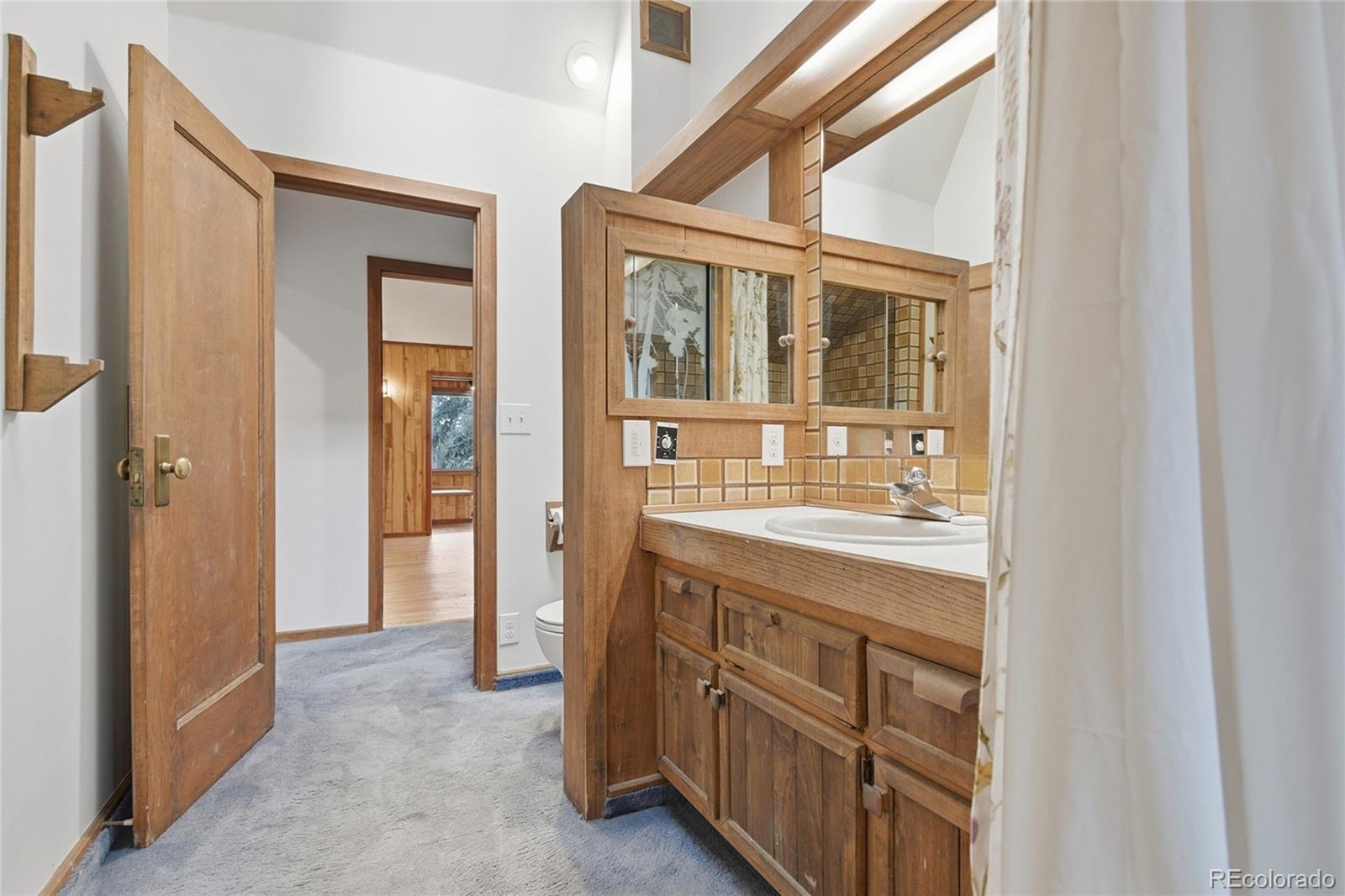 MLS Image #18 for 4812 s cedar road,evergreen, Colorado