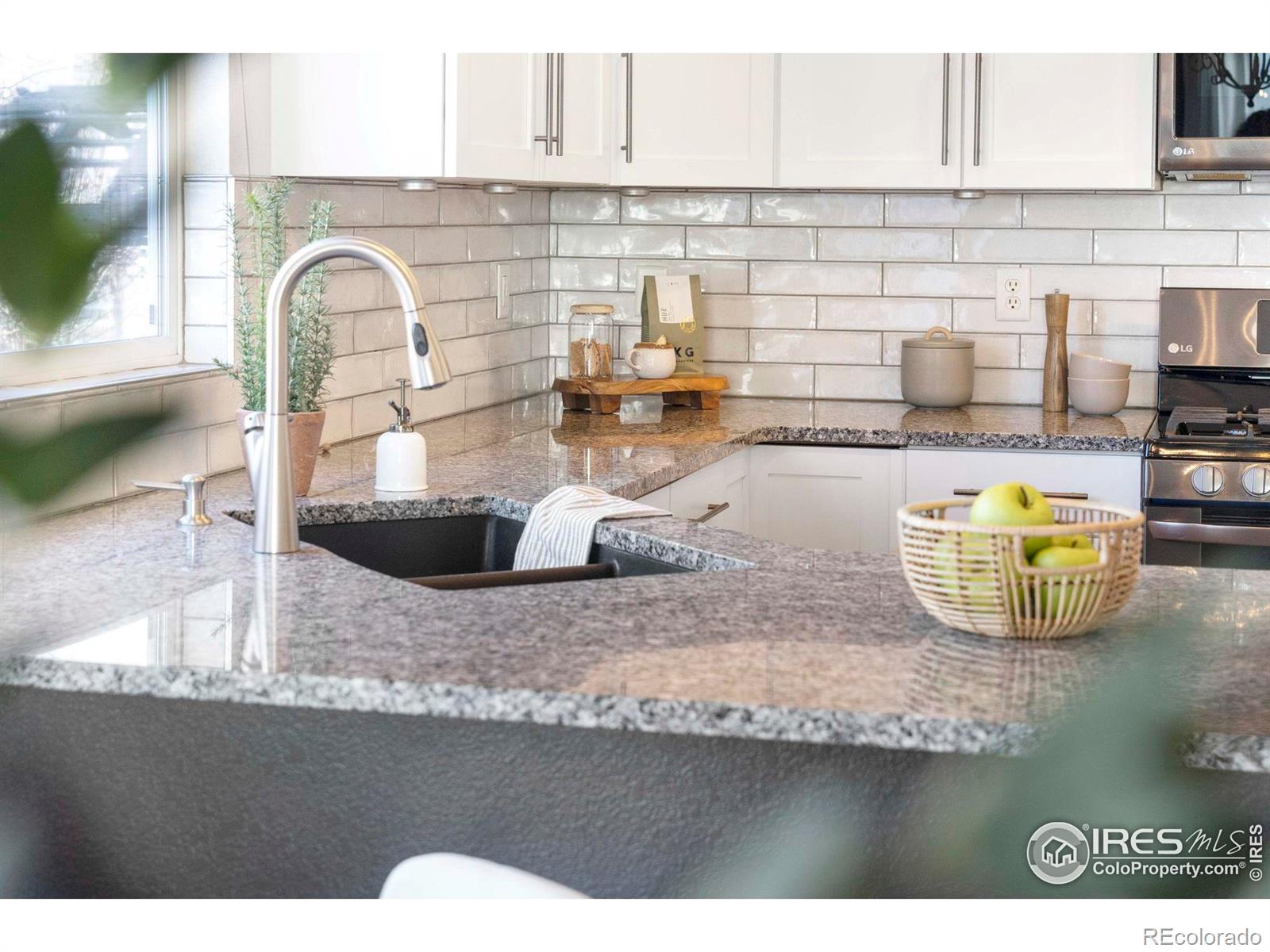 MLS Image #11 for 4207  san marco drive,longmont, Colorado