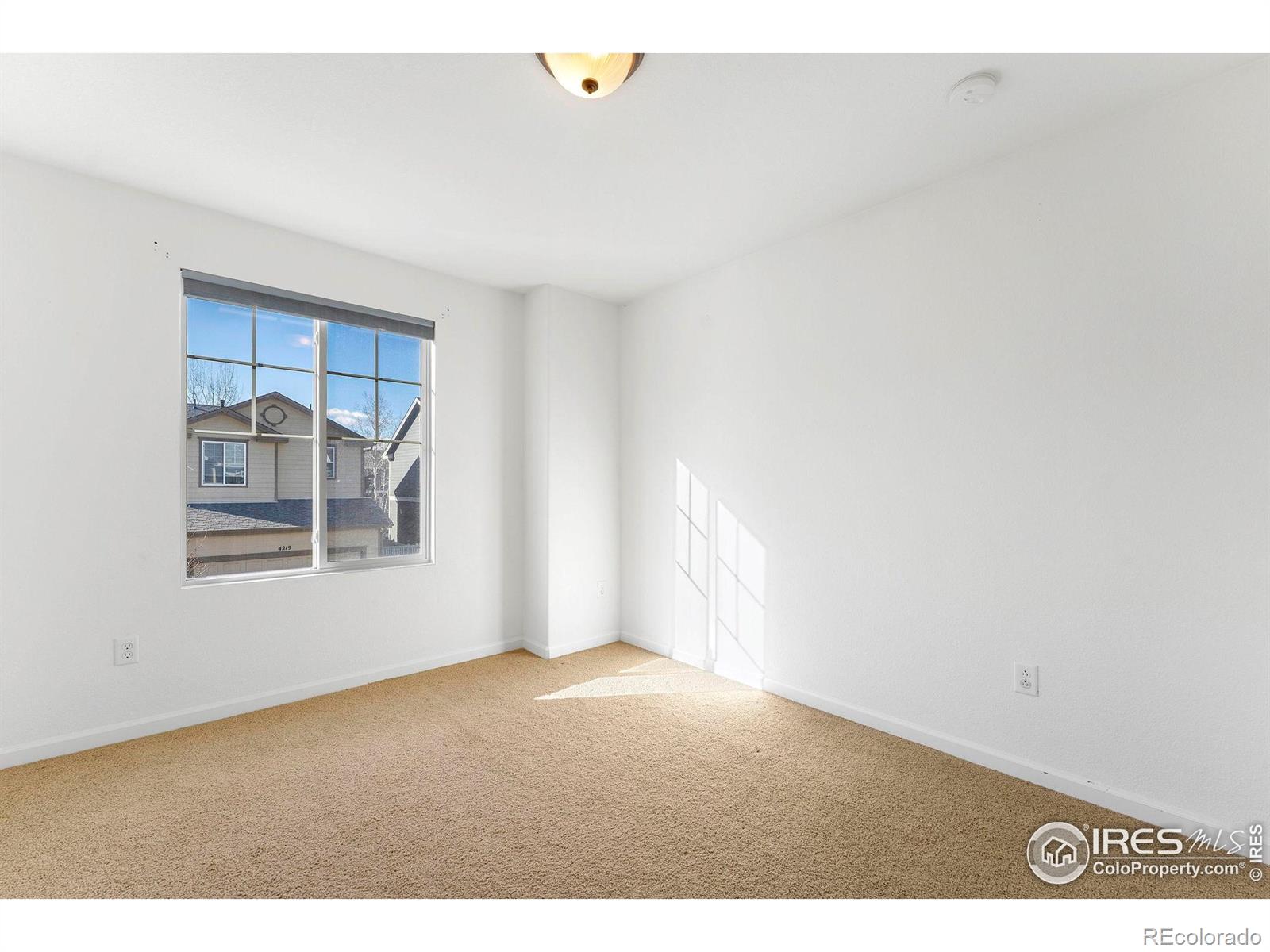 MLS Image #25 for 4207  san marco drive,longmont, Colorado
