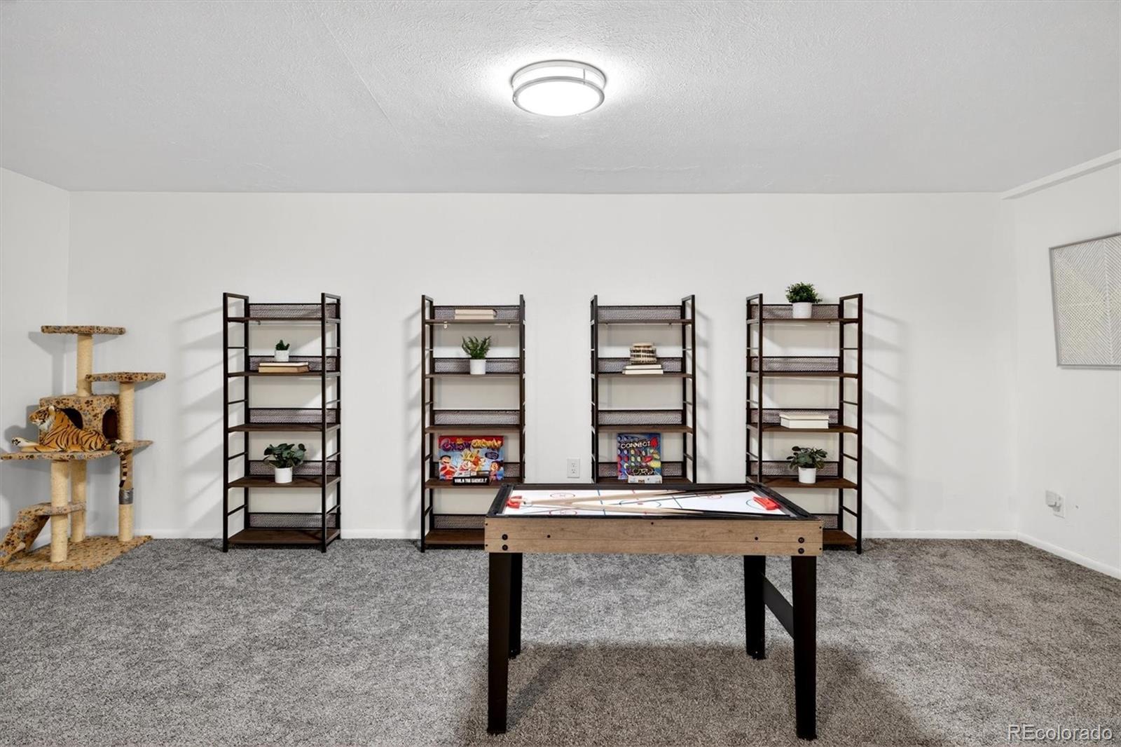 MLS Image #20 for 1165 w 101st avenue,northglenn, Colorado