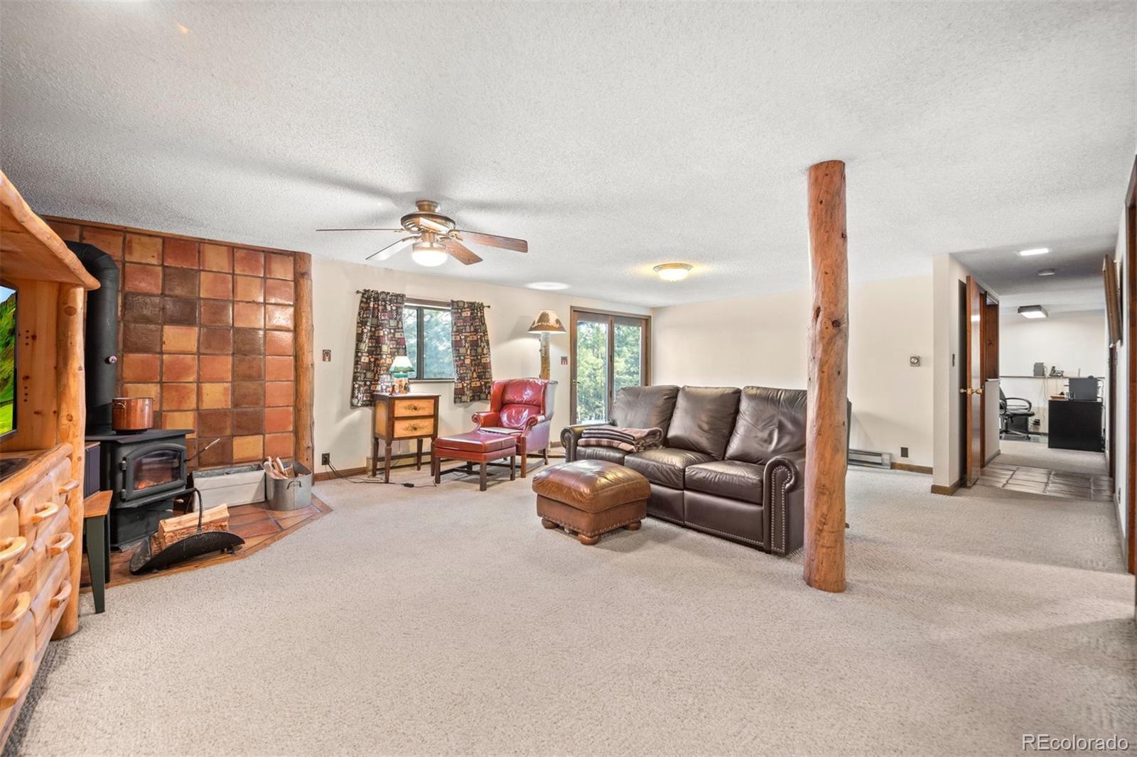 MLS Image #11 for 65  doe circle,bailey, Colorado