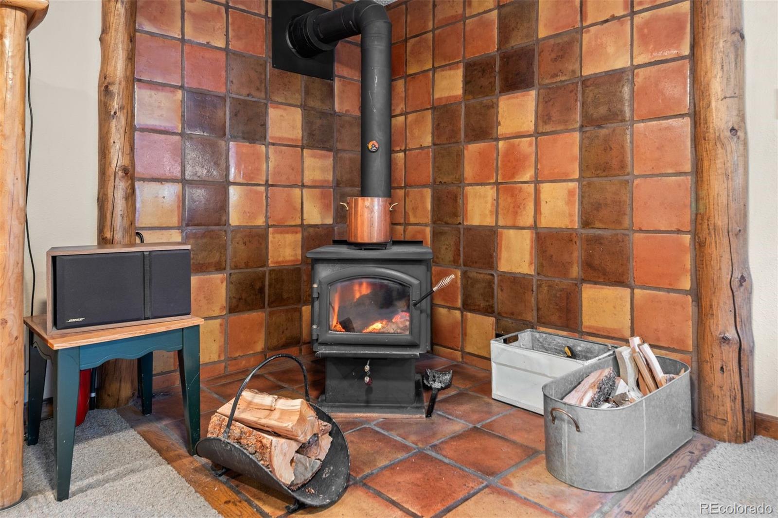 MLS Image #12 for 65  doe circle,bailey, Colorado