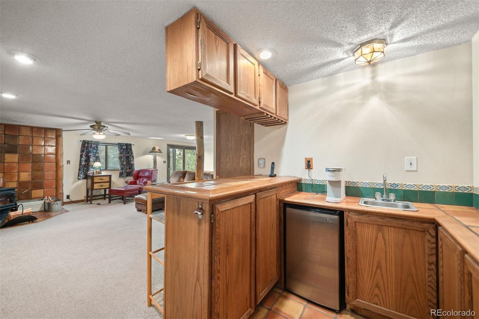 MLS Image #13 for 65  doe circle,bailey, Colorado