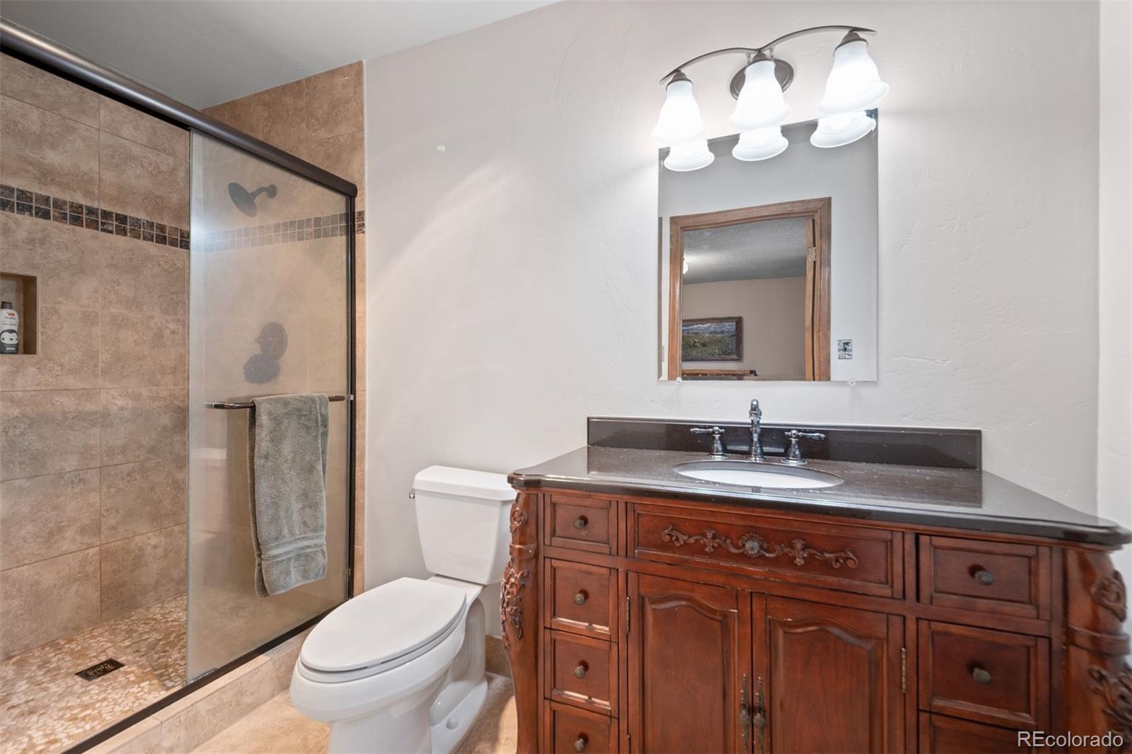 MLS Image #8 for 65  doe circle,bailey, Colorado