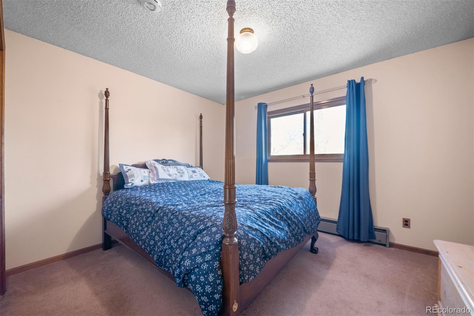 MLS Image #9 for 65  doe circle,bailey, Colorado