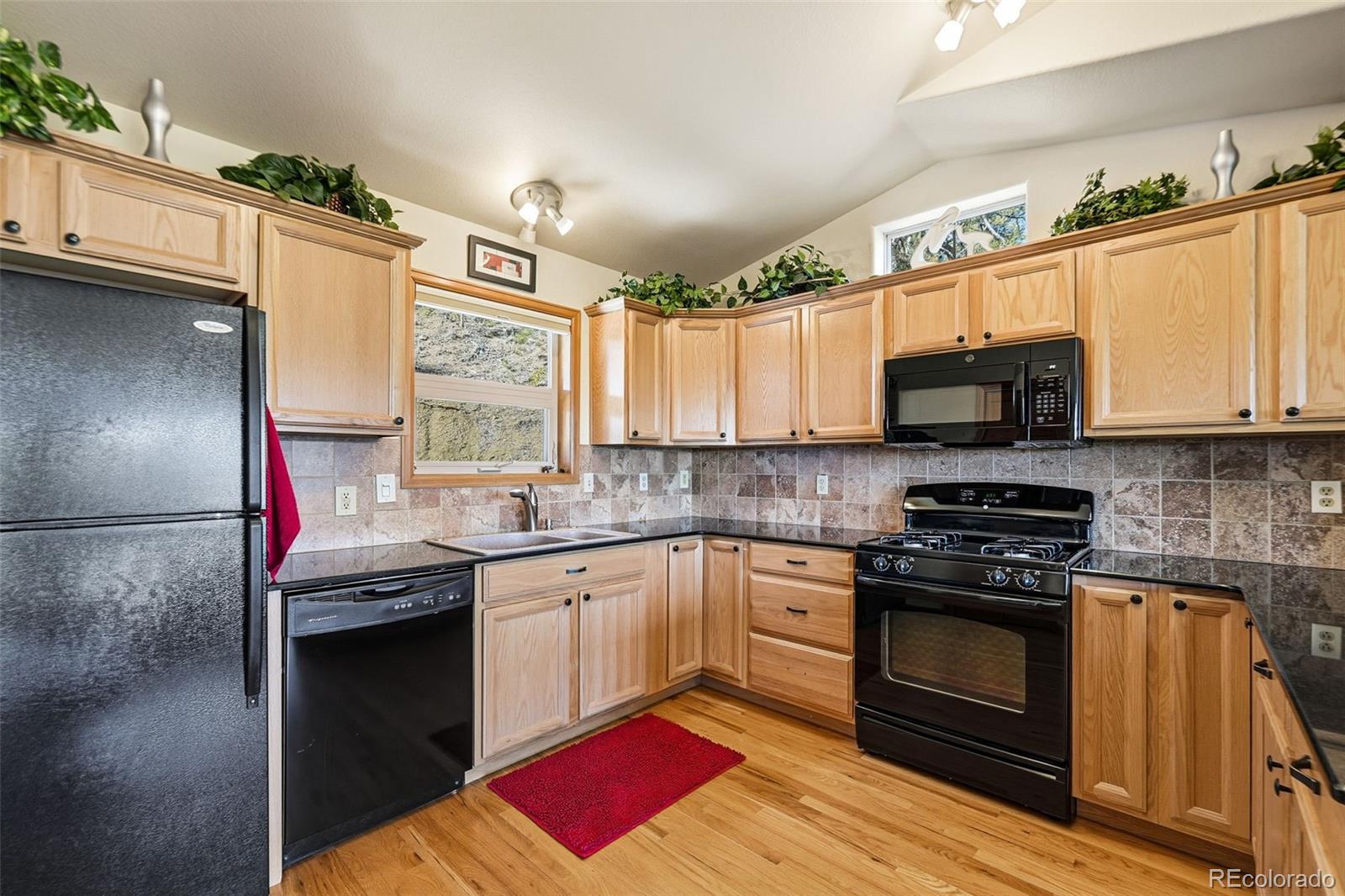 MLS Image #10 for 610  gold flake terrace,bailey, Colorado
