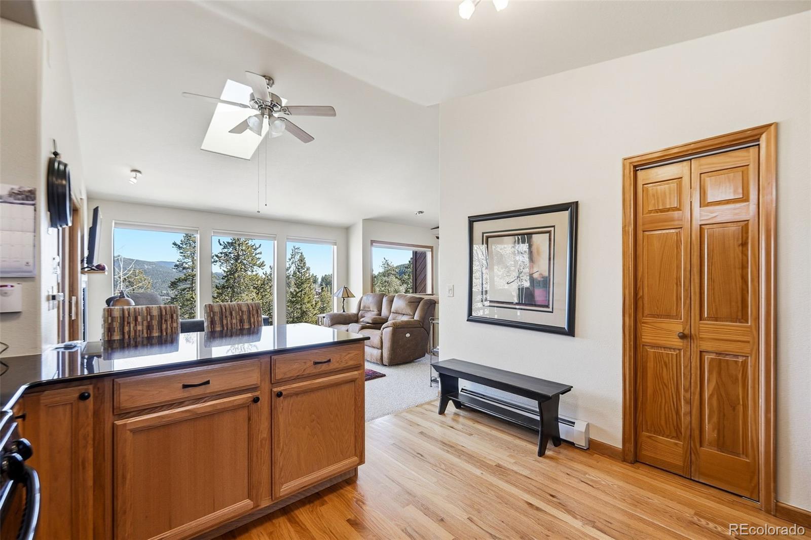 MLS Image #11 for 610  gold flake terrace,bailey, Colorado