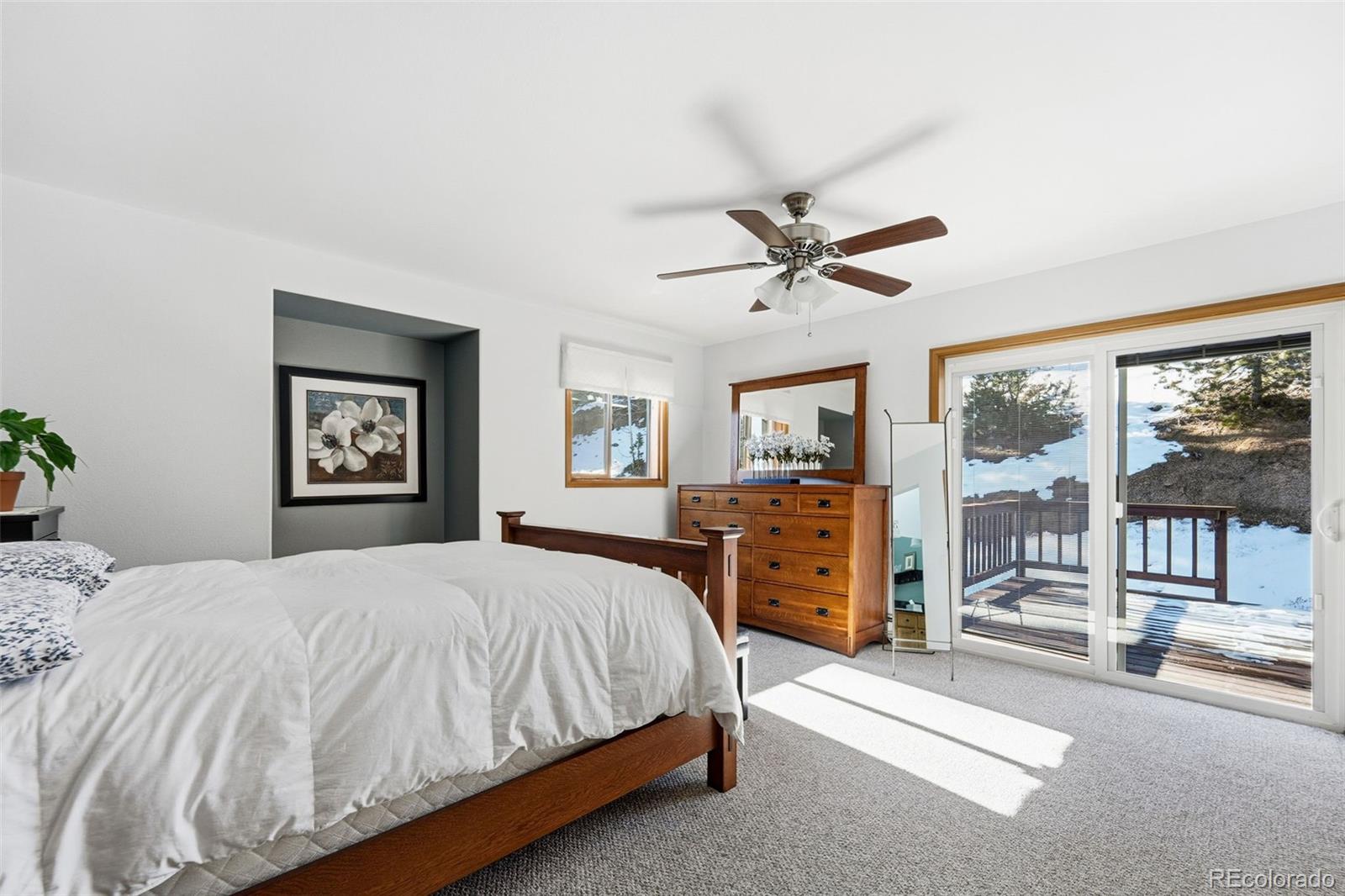 MLS Image #13 for 610  gold flake terrace,bailey, Colorado