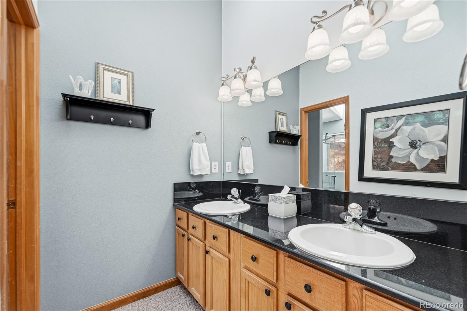 MLS Image #16 for 610  gold flake terrace,bailey, Colorado