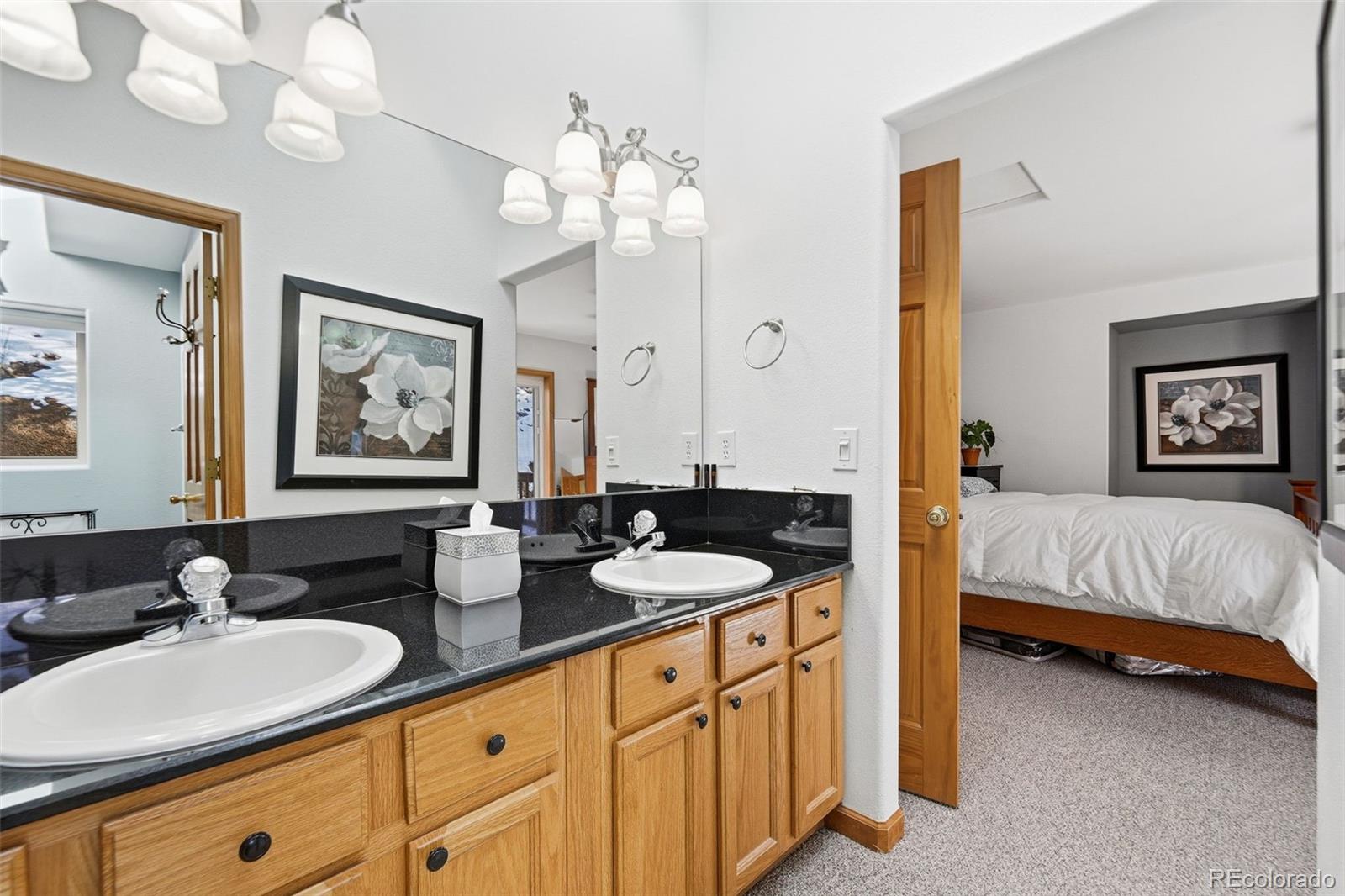MLS Image #18 for 610  gold flake terrace,bailey, Colorado