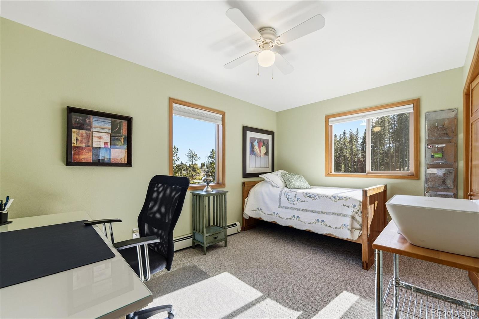 MLS Image #20 for 610  gold flake terrace,bailey, Colorado