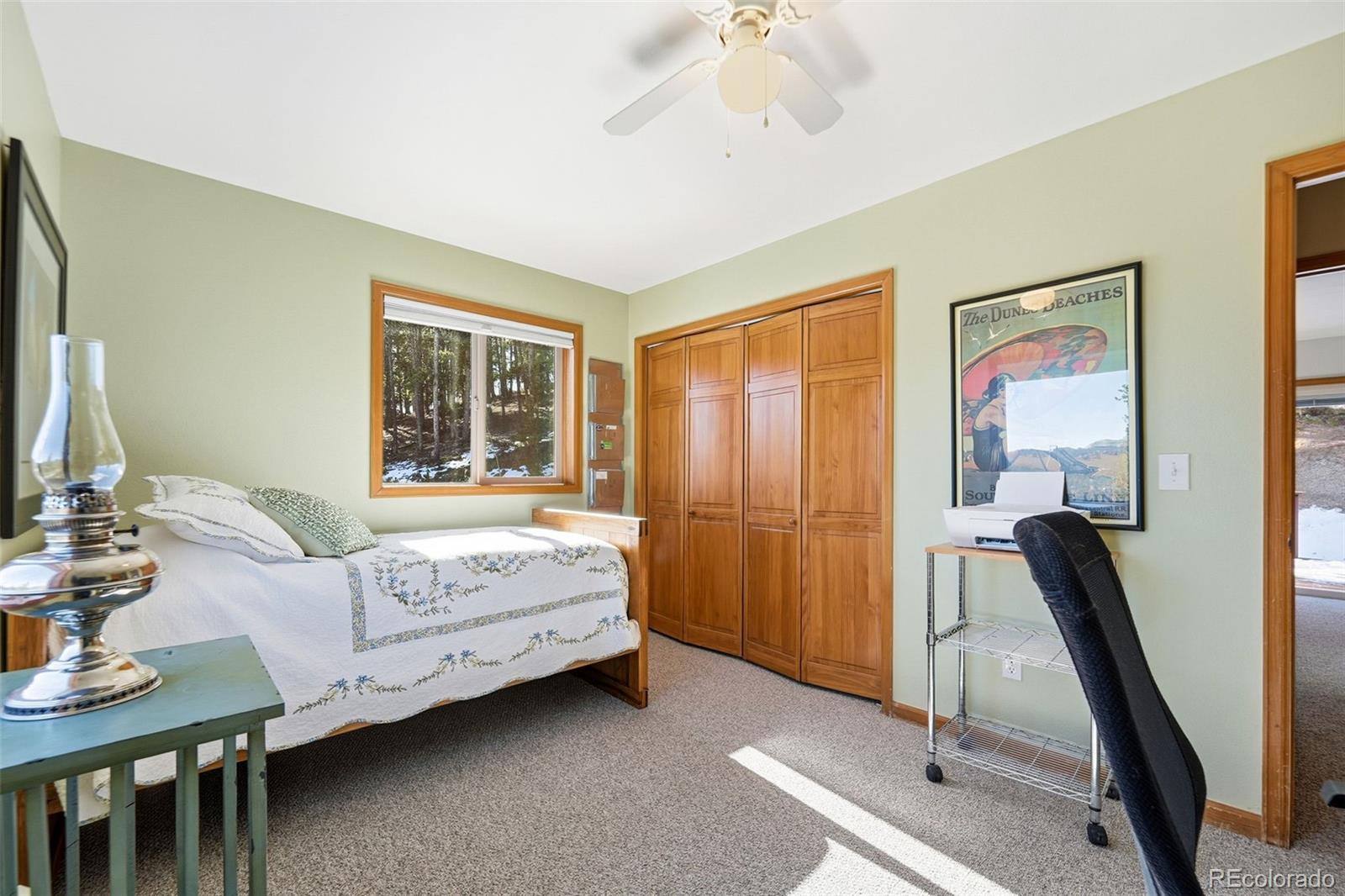 MLS Image #21 for 610  gold flake terrace,bailey, Colorado