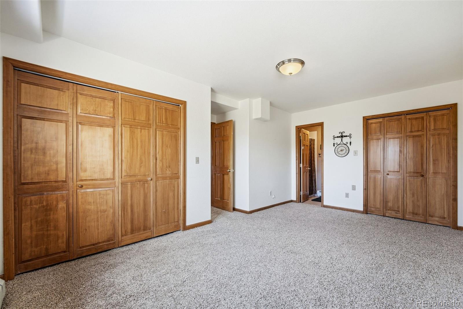 MLS Image #26 for 610  gold flake terrace,bailey, Colorado