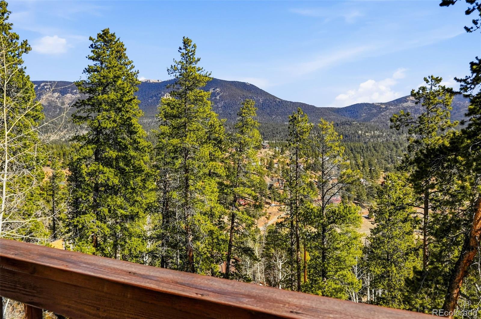 MLS Image #29 for 610  gold flake terrace,bailey, Colorado