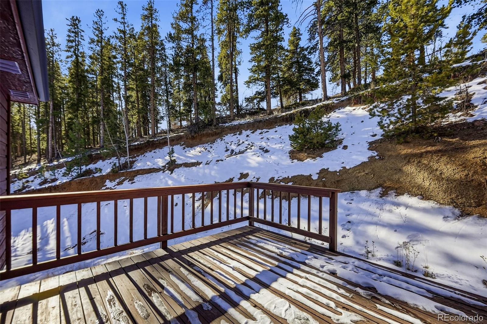 MLS Image #31 for 610  gold flake terrace,bailey, Colorado