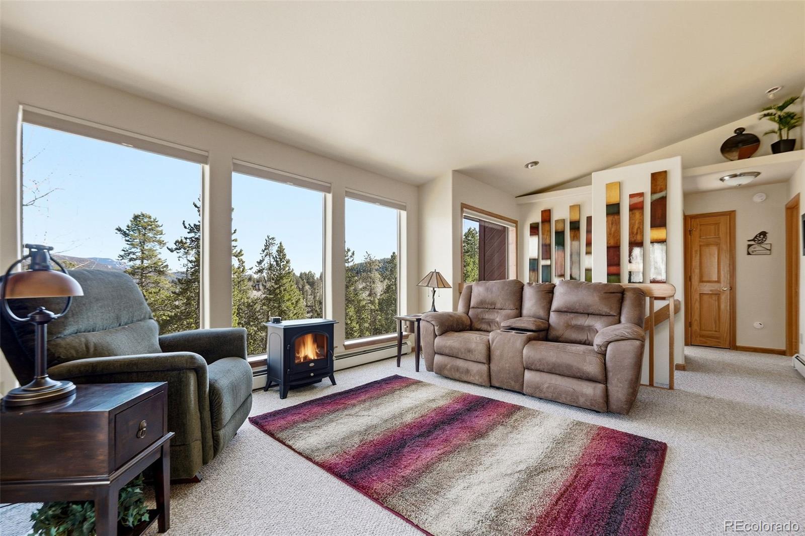MLS Image #5 for 610  gold flake terrace,bailey, Colorado