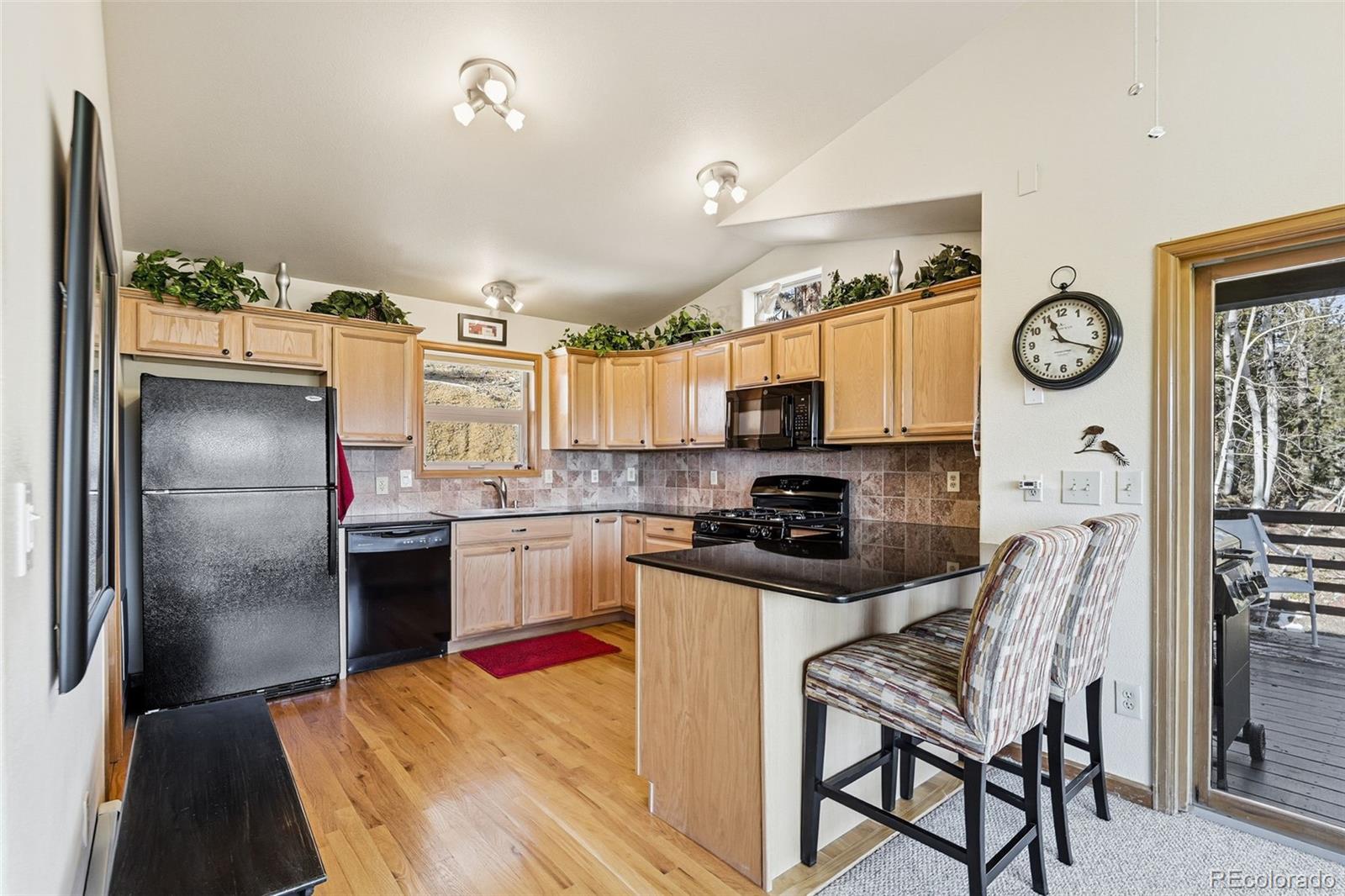 MLS Image #8 for 610  gold flake terrace,bailey, Colorado