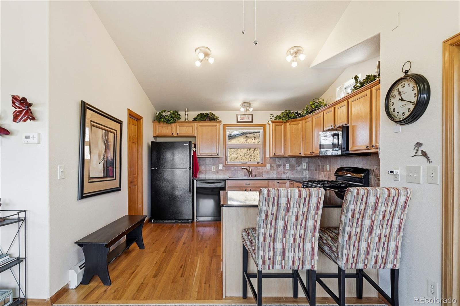 MLS Image #9 for 610  gold flake terrace,bailey, Colorado