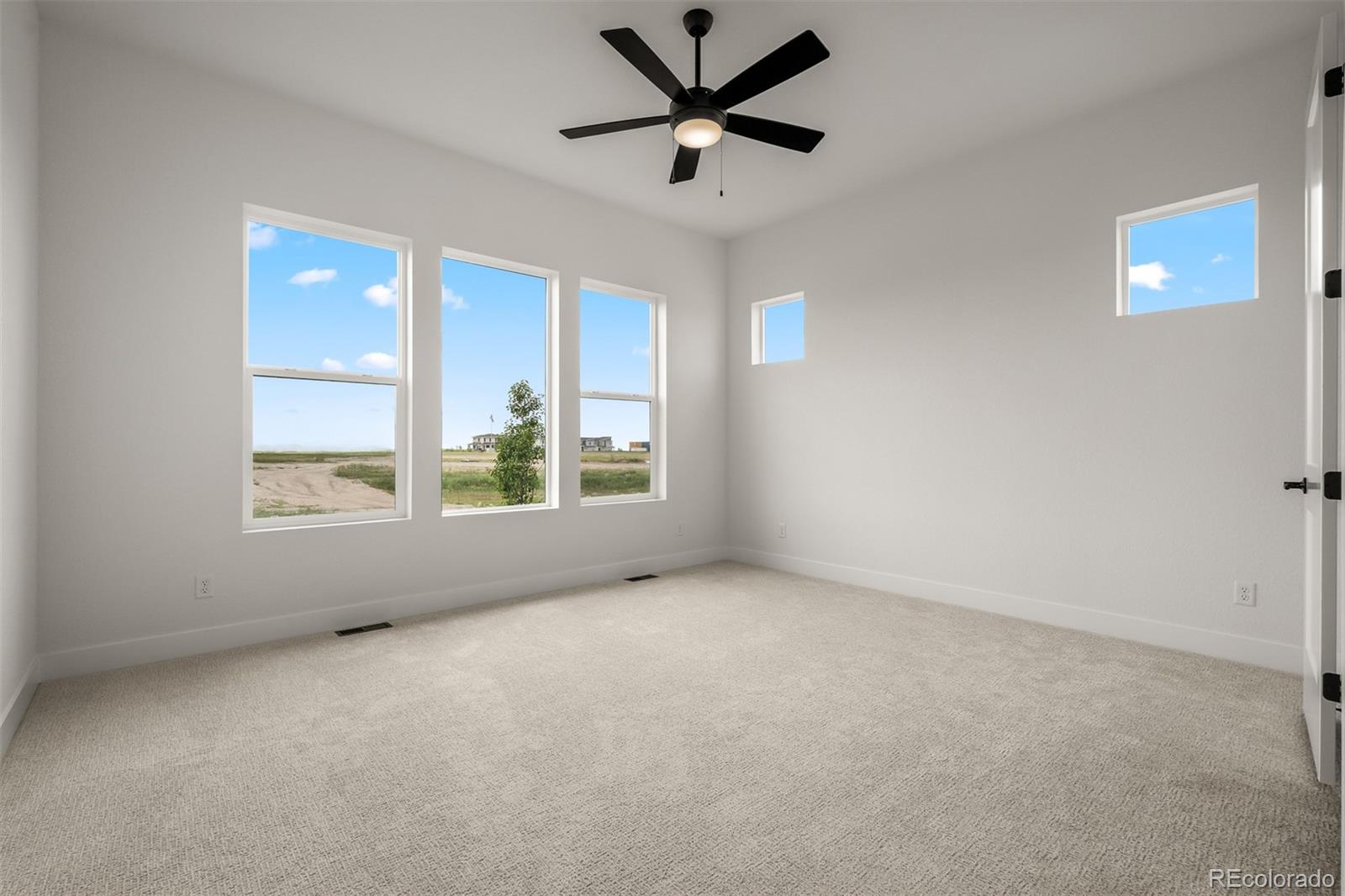 MLS Image #20 for 6571  arabesque loop,colorado springs, Colorado