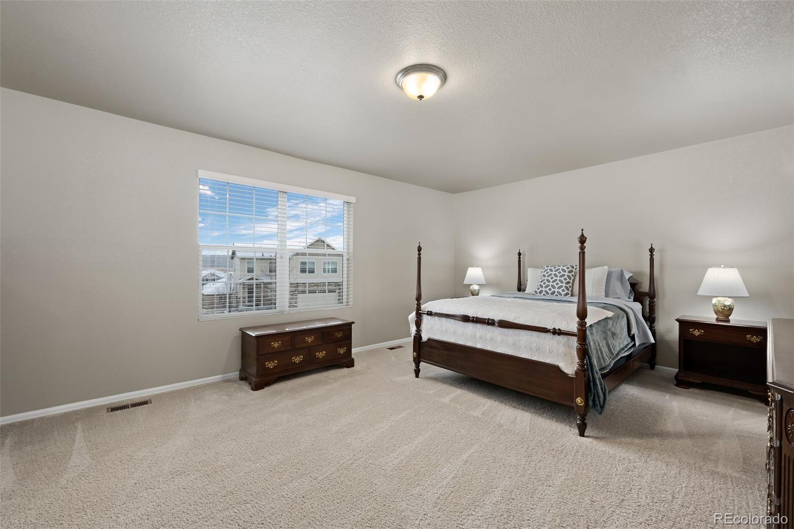 MLS Image #23 for 2107  shadow creek drive,castle rock, Colorado