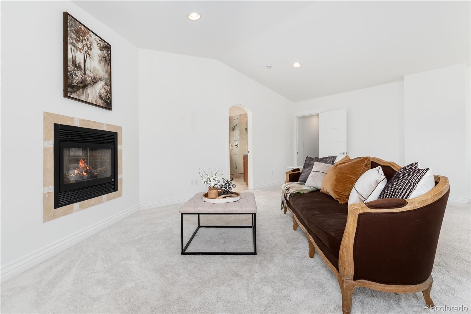 MLS Image #28 for 1106  steele street,denver, Colorado