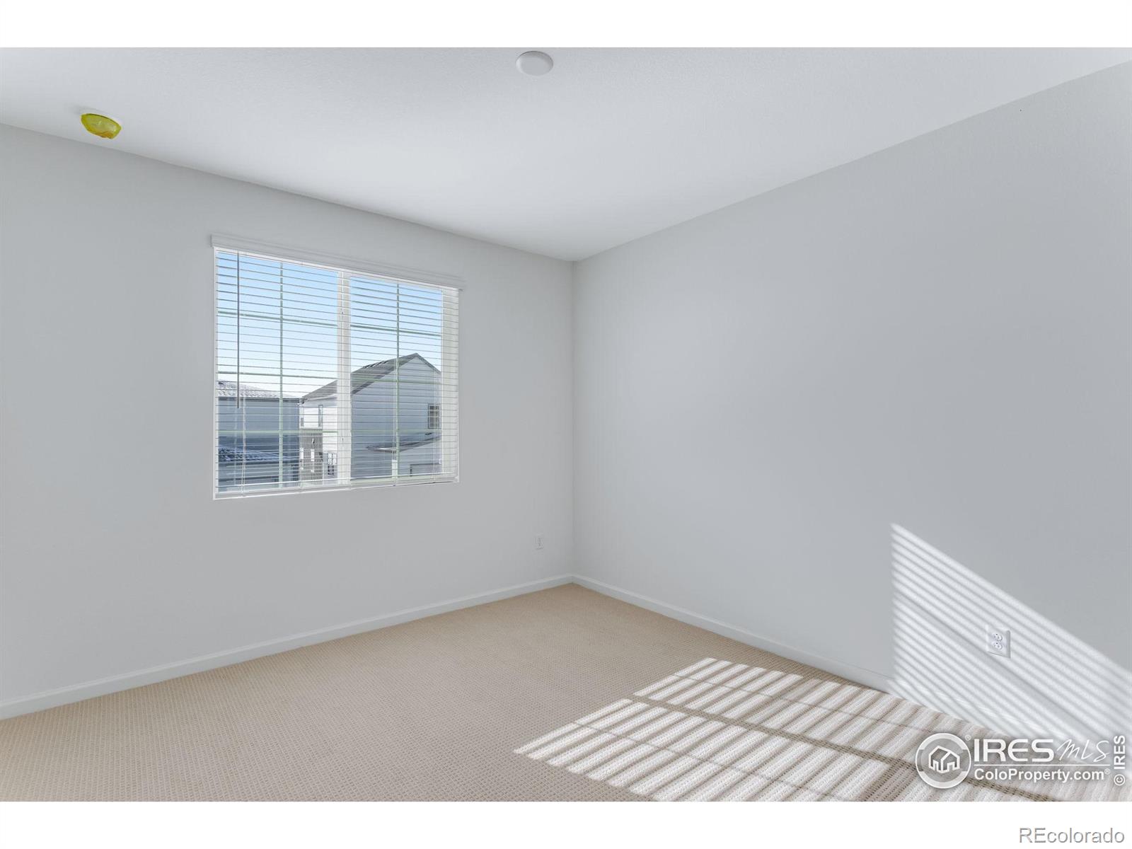 MLS Image #27 for 1761  mount meeker avenue,berthoud, Colorado