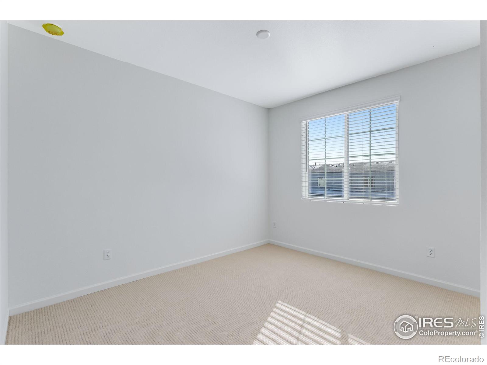 MLS Image #31 for 1761  mount meeker avenue,berthoud, Colorado
