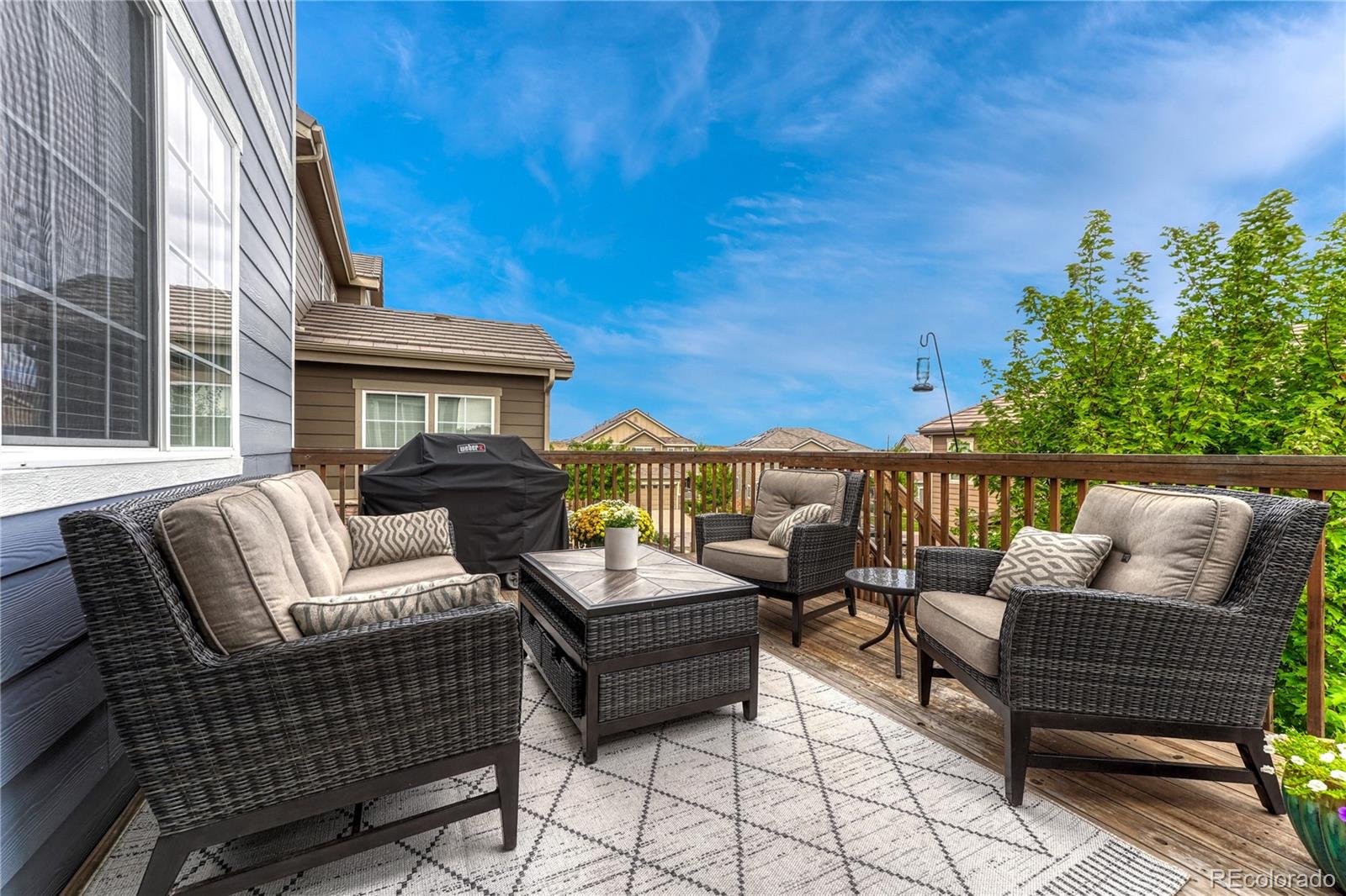 MLS Image #16 for 13799  wickfield place,parker, Colorado