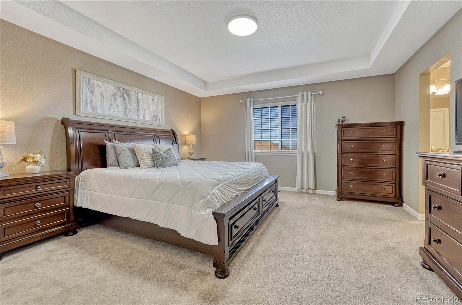 MLS Image #19 for 13799  wickfield place,parker, Colorado