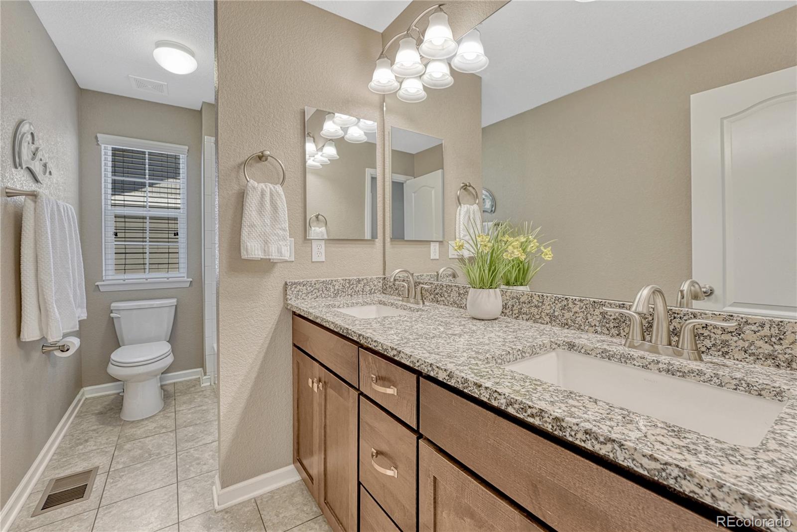 MLS Image #25 for 13799  wickfield place,parker, Colorado