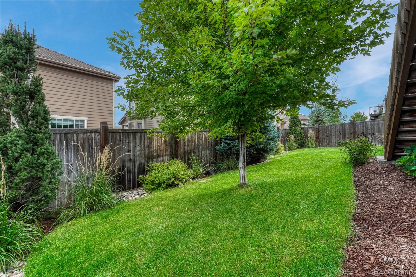 MLS Image #36 for 13799  wickfield place,parker, Colorado