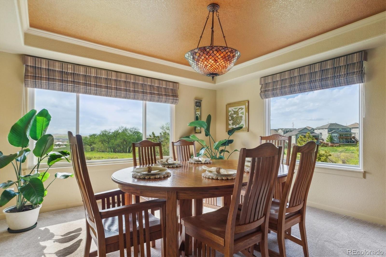 MLS Image #10 for 7289  stroh road,parker, Colorado