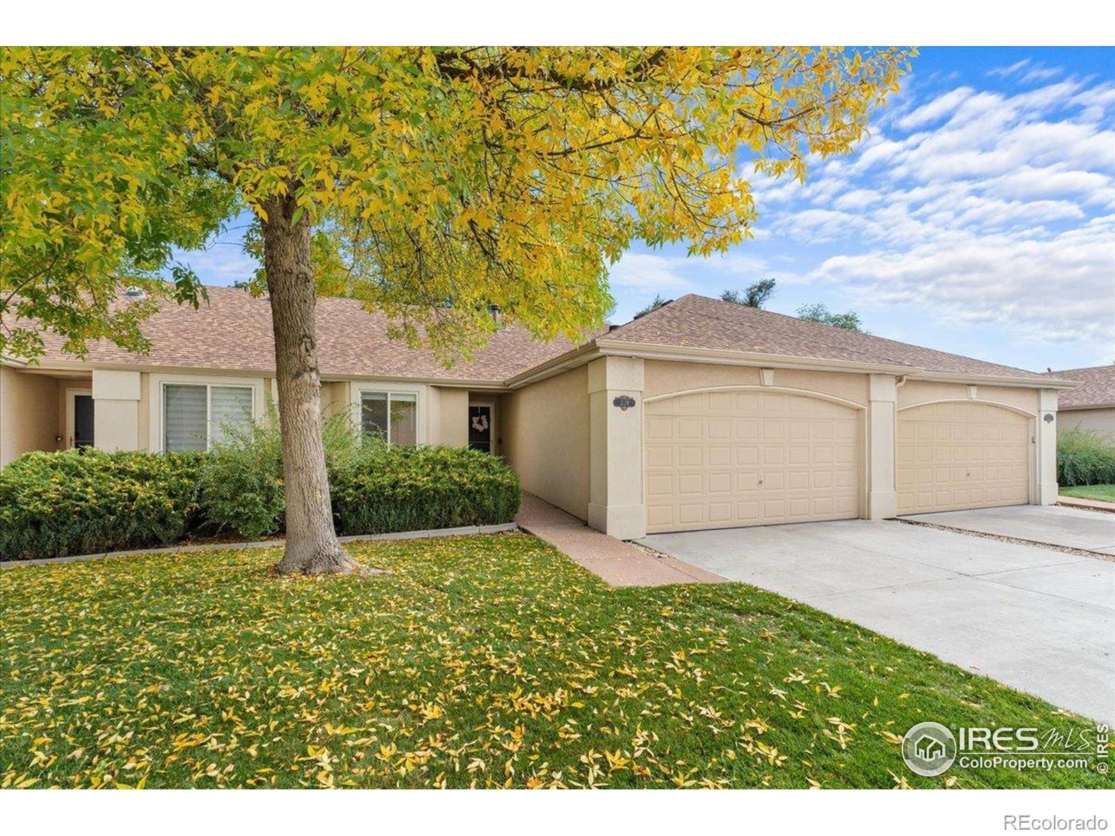 MLS Image #2 for 2114  water blossom lane,fort collins, Colorado