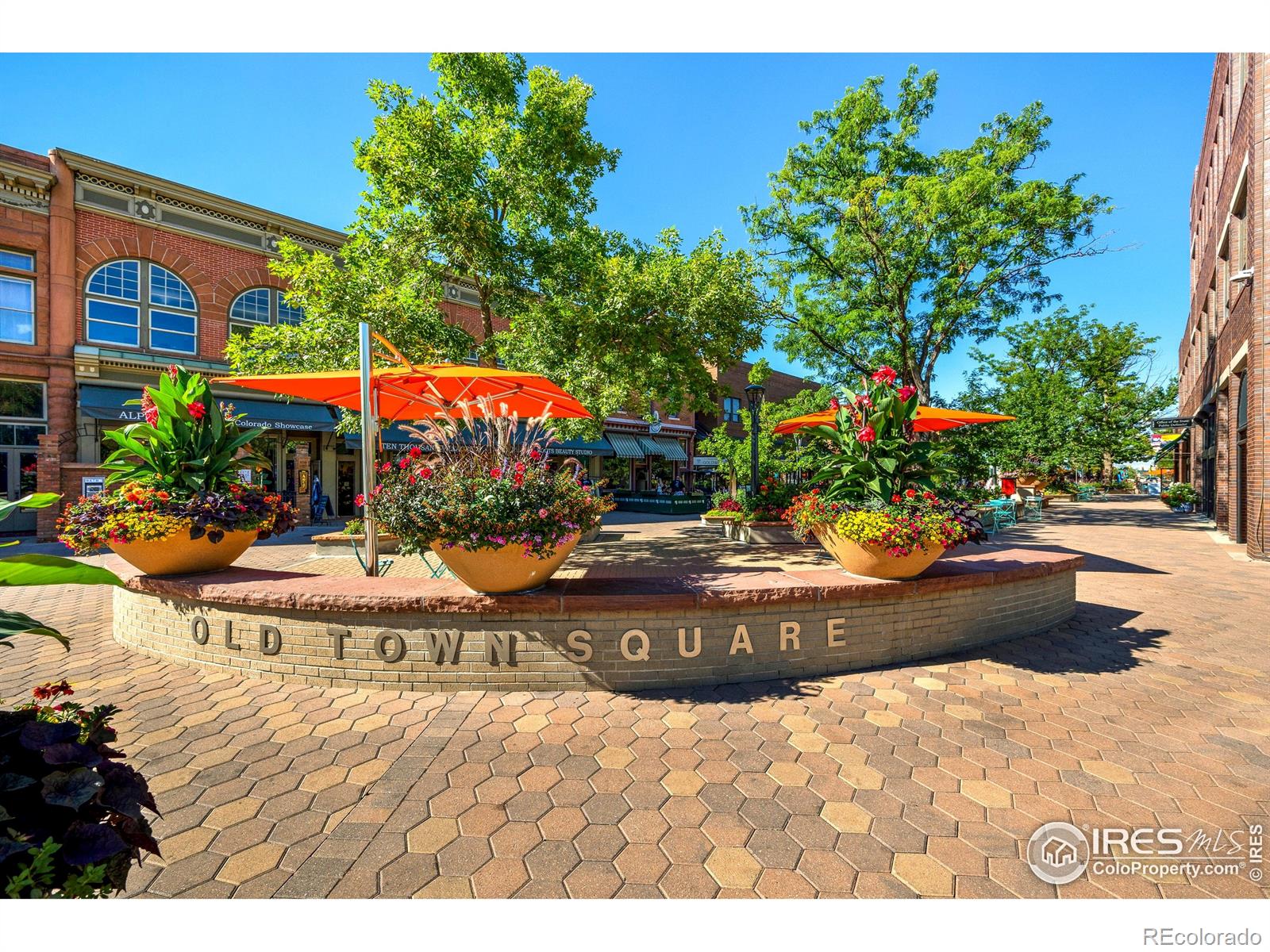 MLS Image #39 for 2114  water blossom lane,fort collins, Colorado