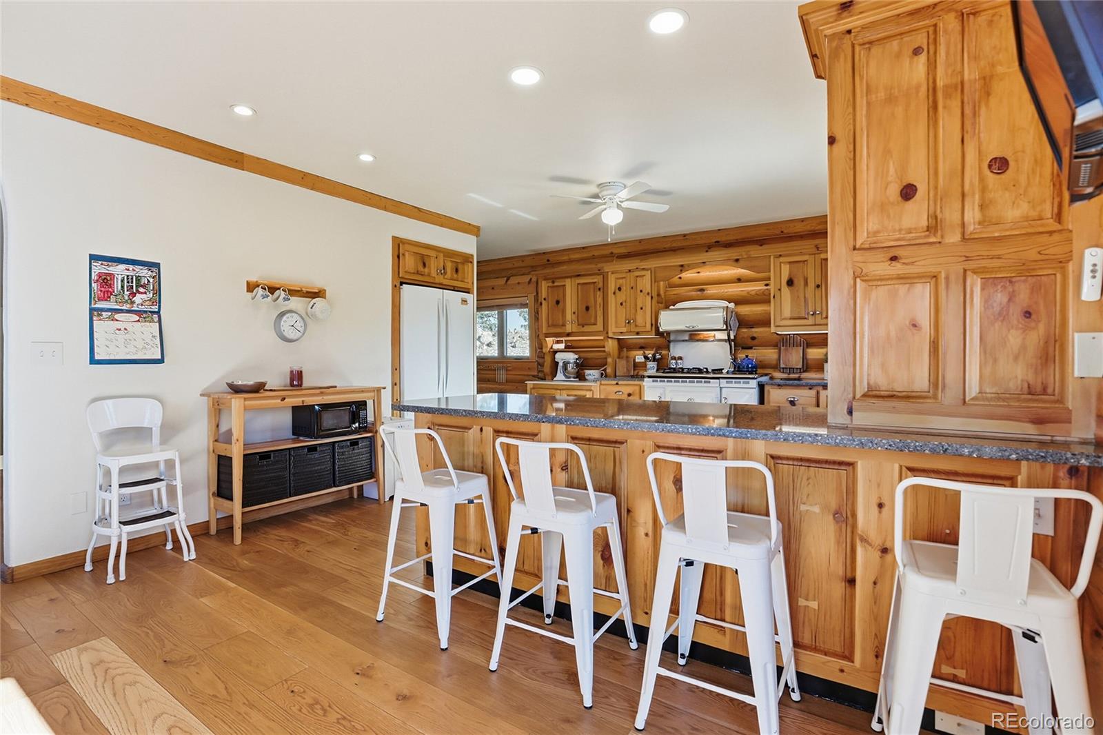MLS Image #10 for 819  hi meadow drive,bailey, Colorado