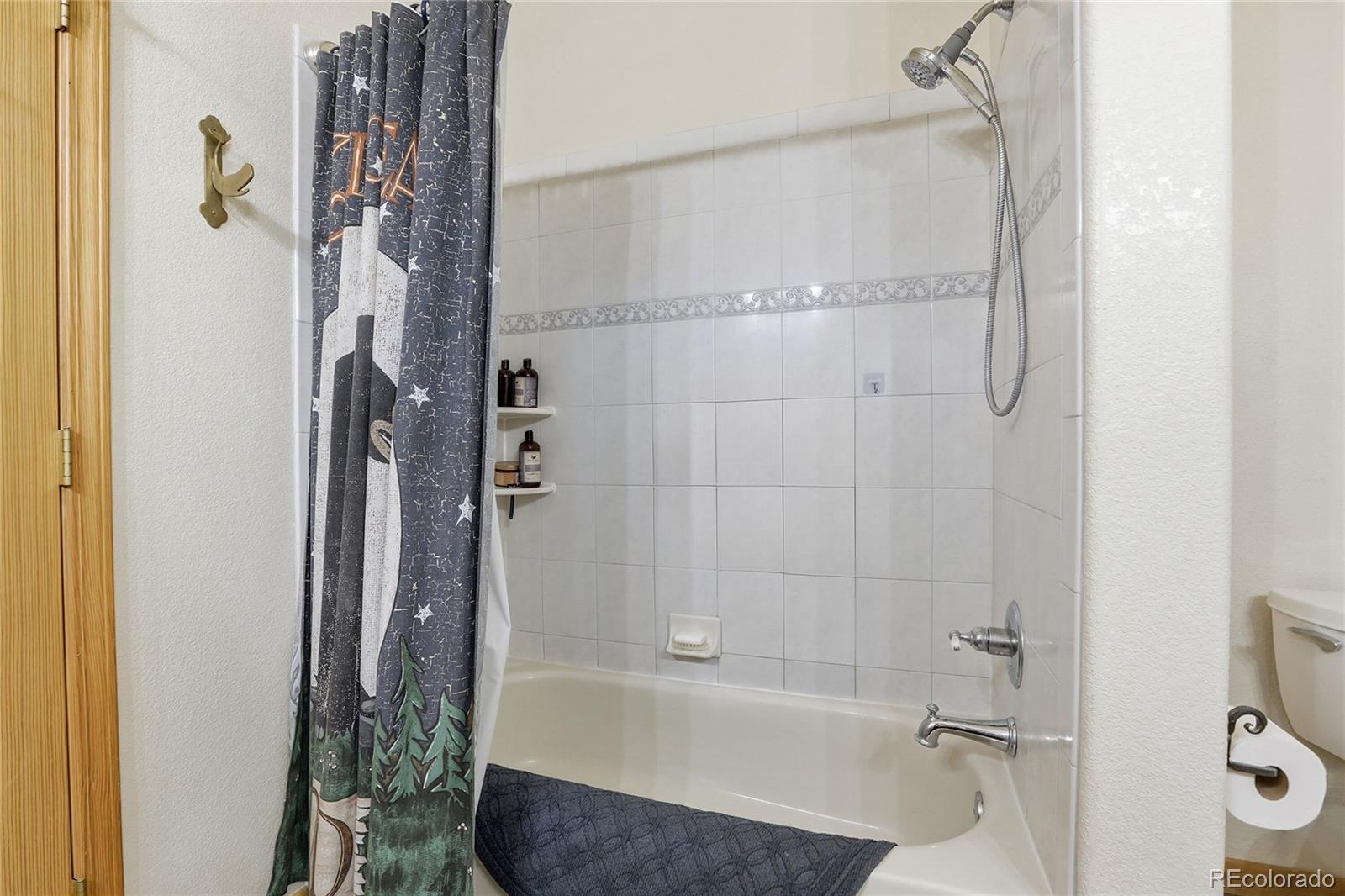 MLS Image #20 for 819  hi meadow drive,bailey, Colorado