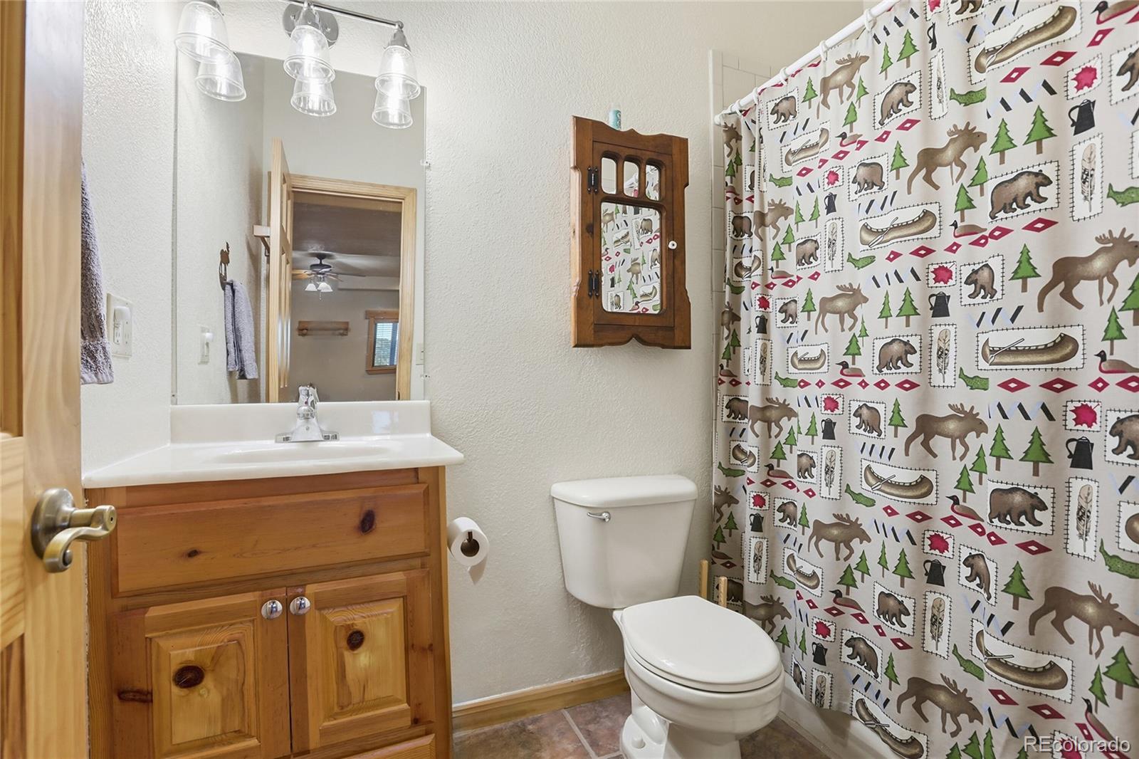 MLS Image #29 for 819  hi meadow drive,bailey, Colorado