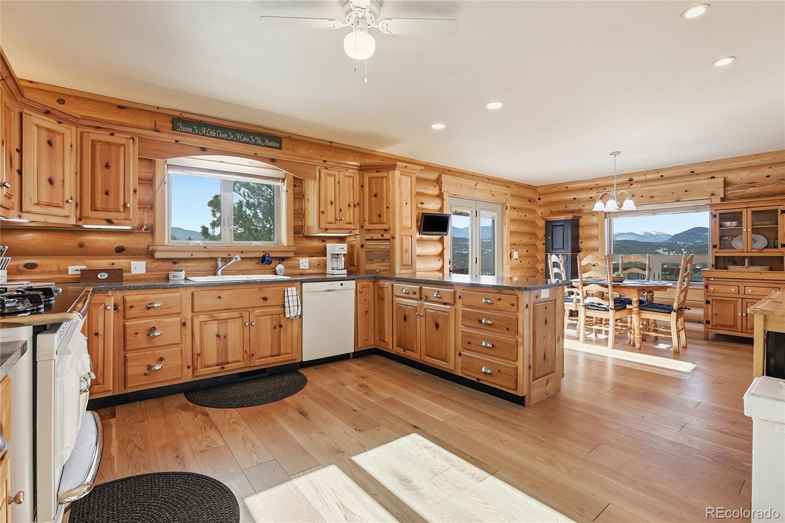 MLS Image #9 for 819  hi meadow drive,bailey, Colorado