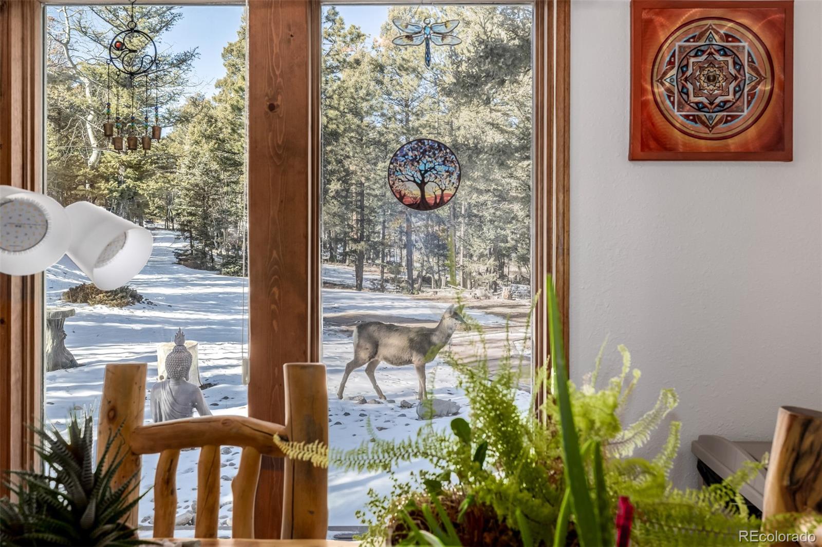 MLS Image #13 for 13202  riley peak road,conifer, Colorado