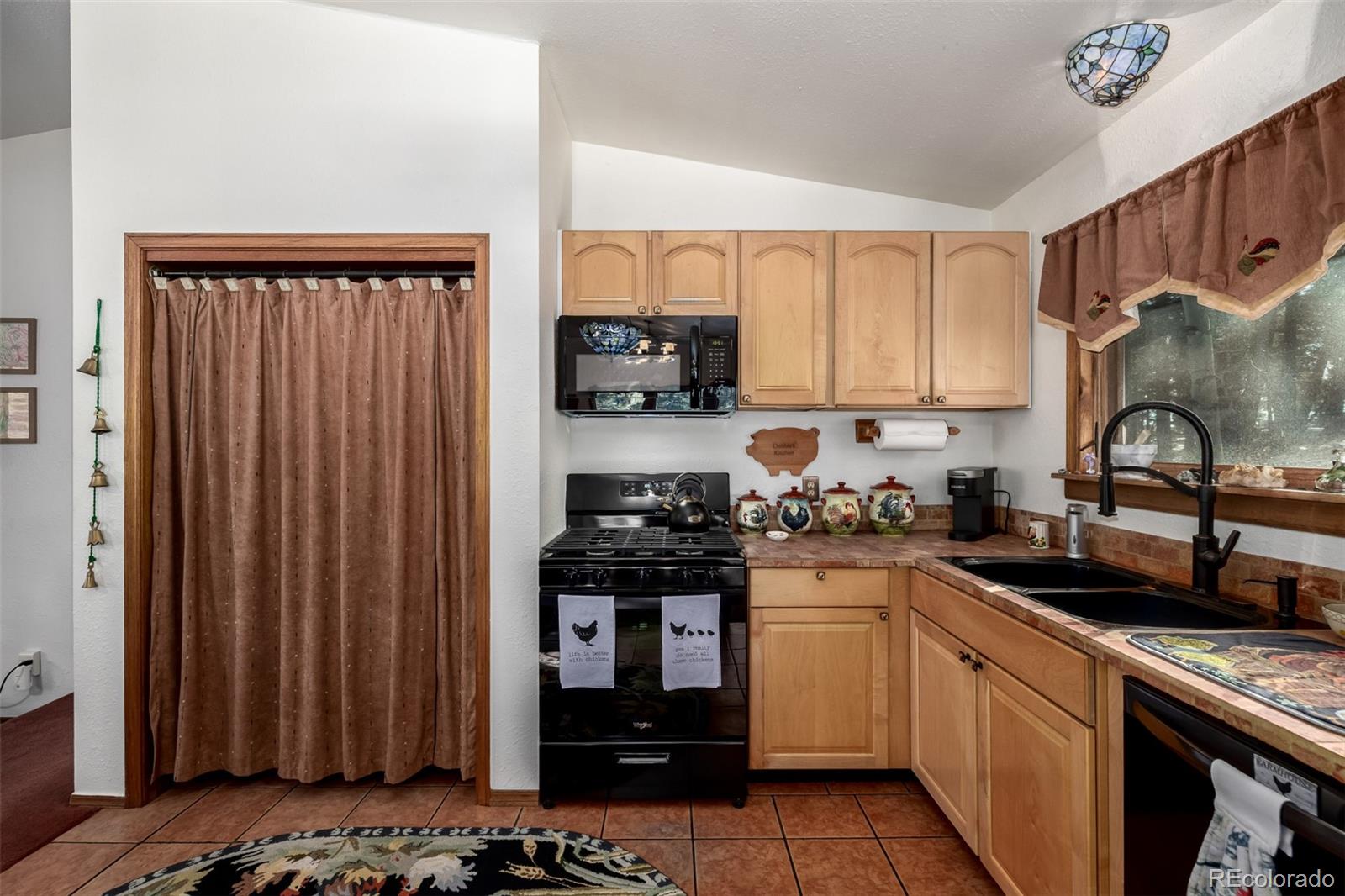 MLS Image #19 for 13202  riley peak road,conifer, Colorado