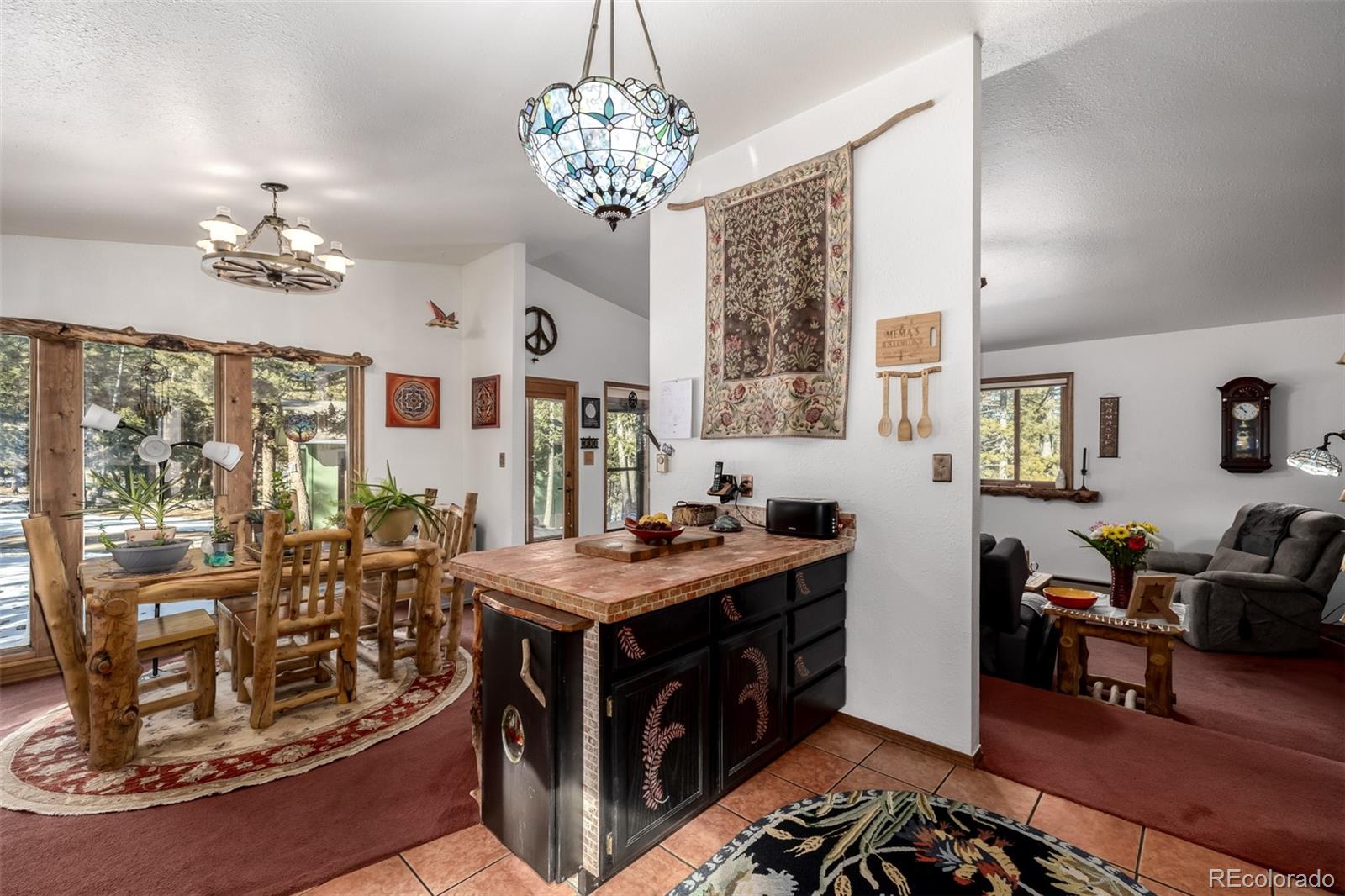 MLS Image #20 for 13202  riley peak road,conifer, Colorado