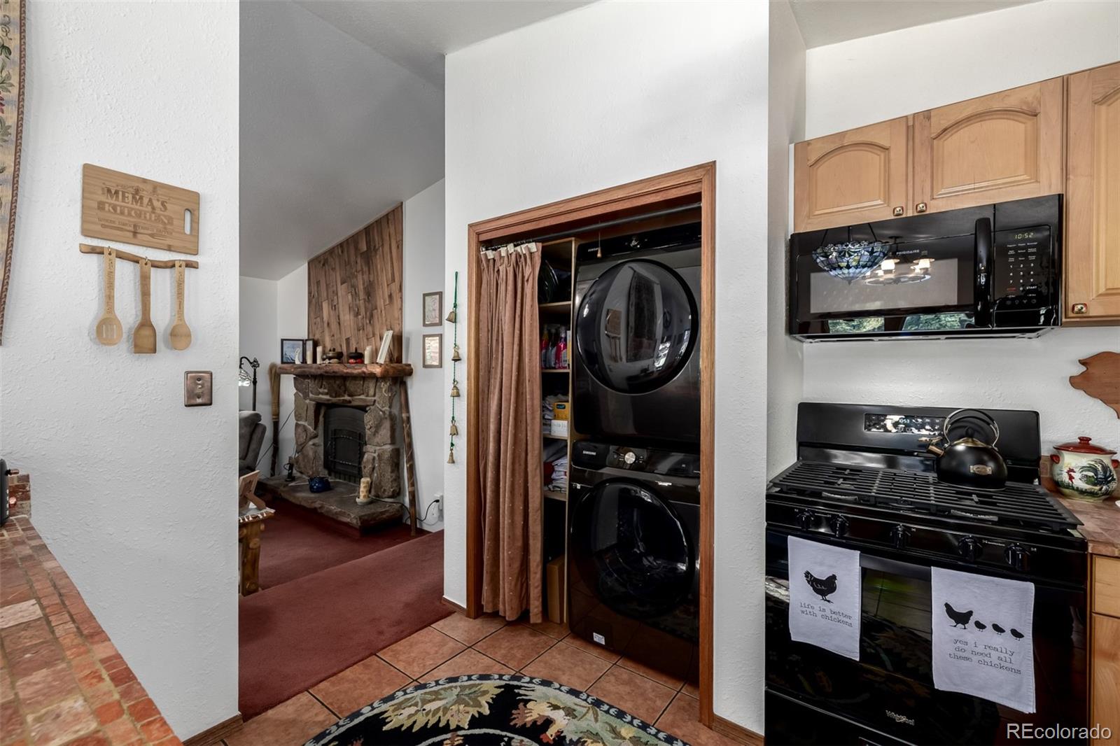 MLS Image #21 for 13202  riley peak road,conifer, Colorado